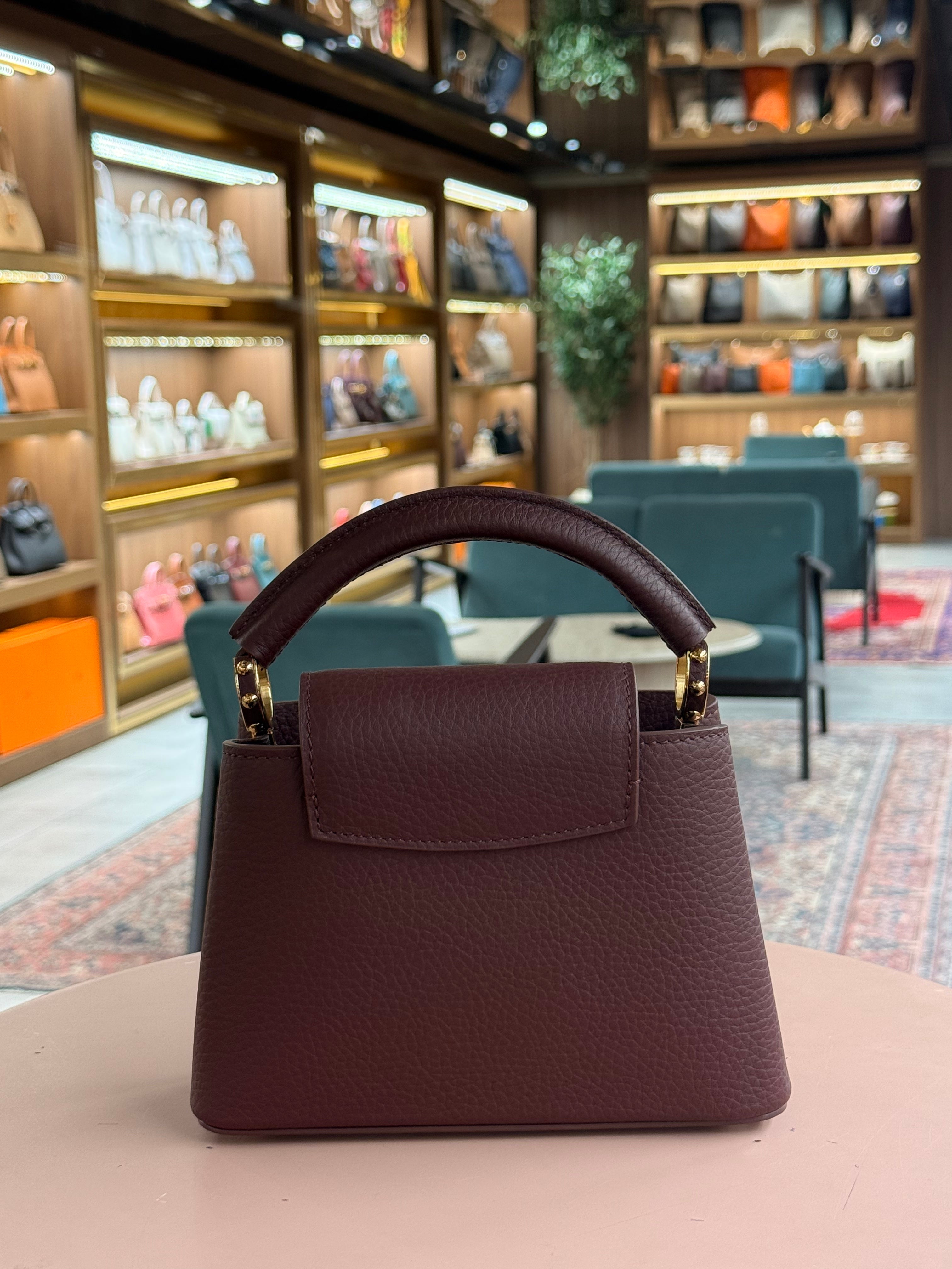 Louis Vuitton | Capucines (Mini) – Leather – Burgundy – Gold Hardware