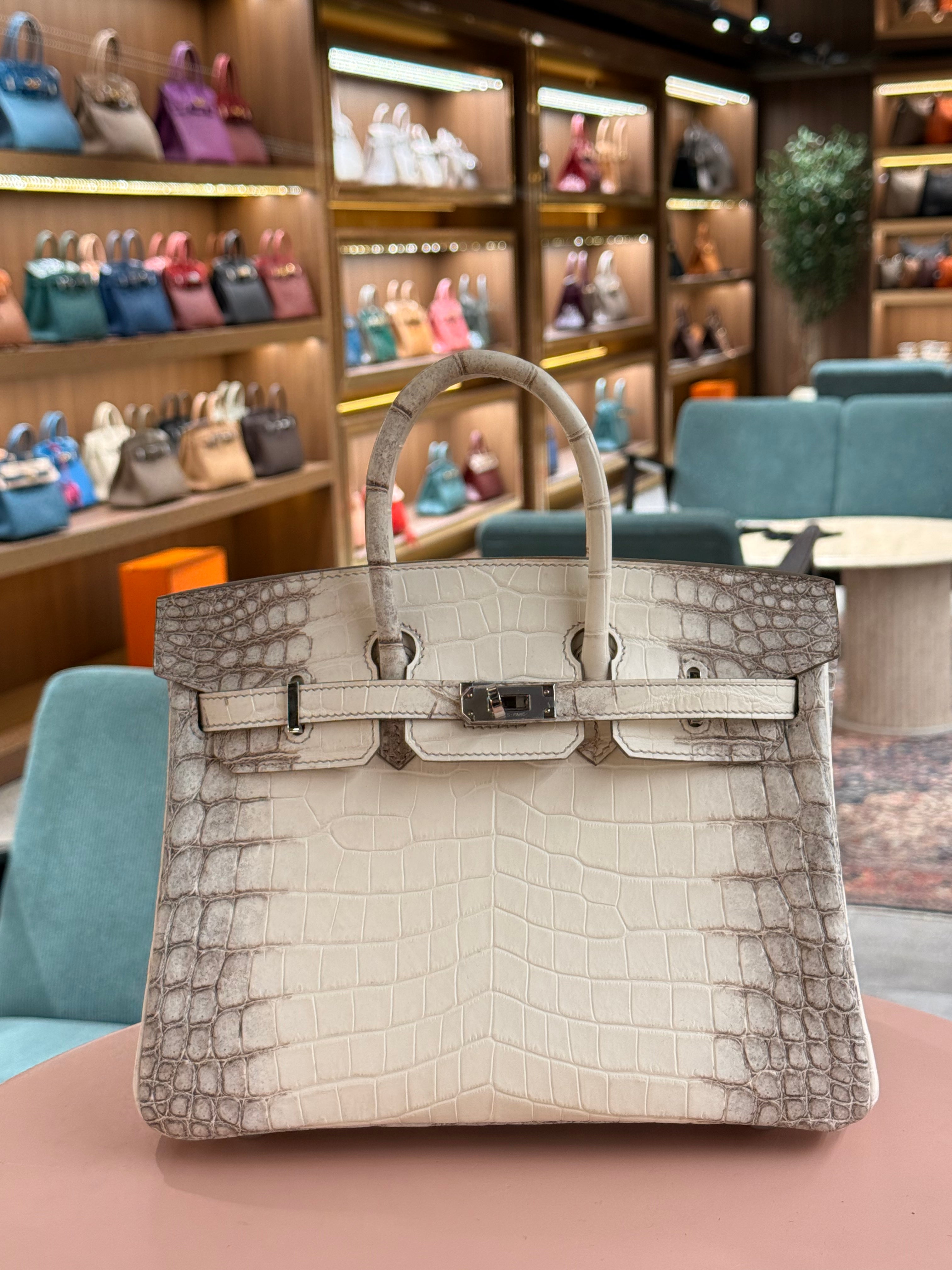 Hermes | Birkin (25) – Crocodile – Himalaya – Palladium Hardware