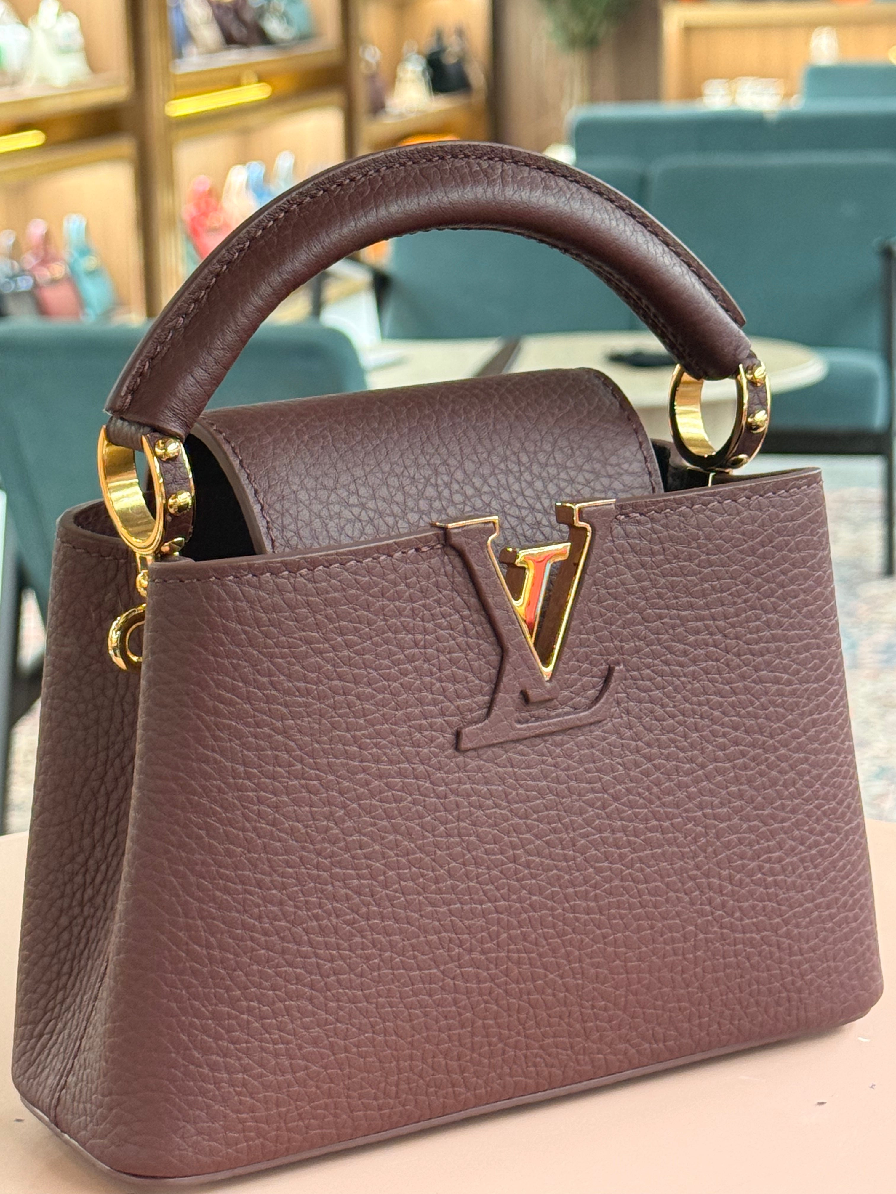 Louis Vuitton | Capucines (Mini) – Leather – Burgundy – Gold Hardware