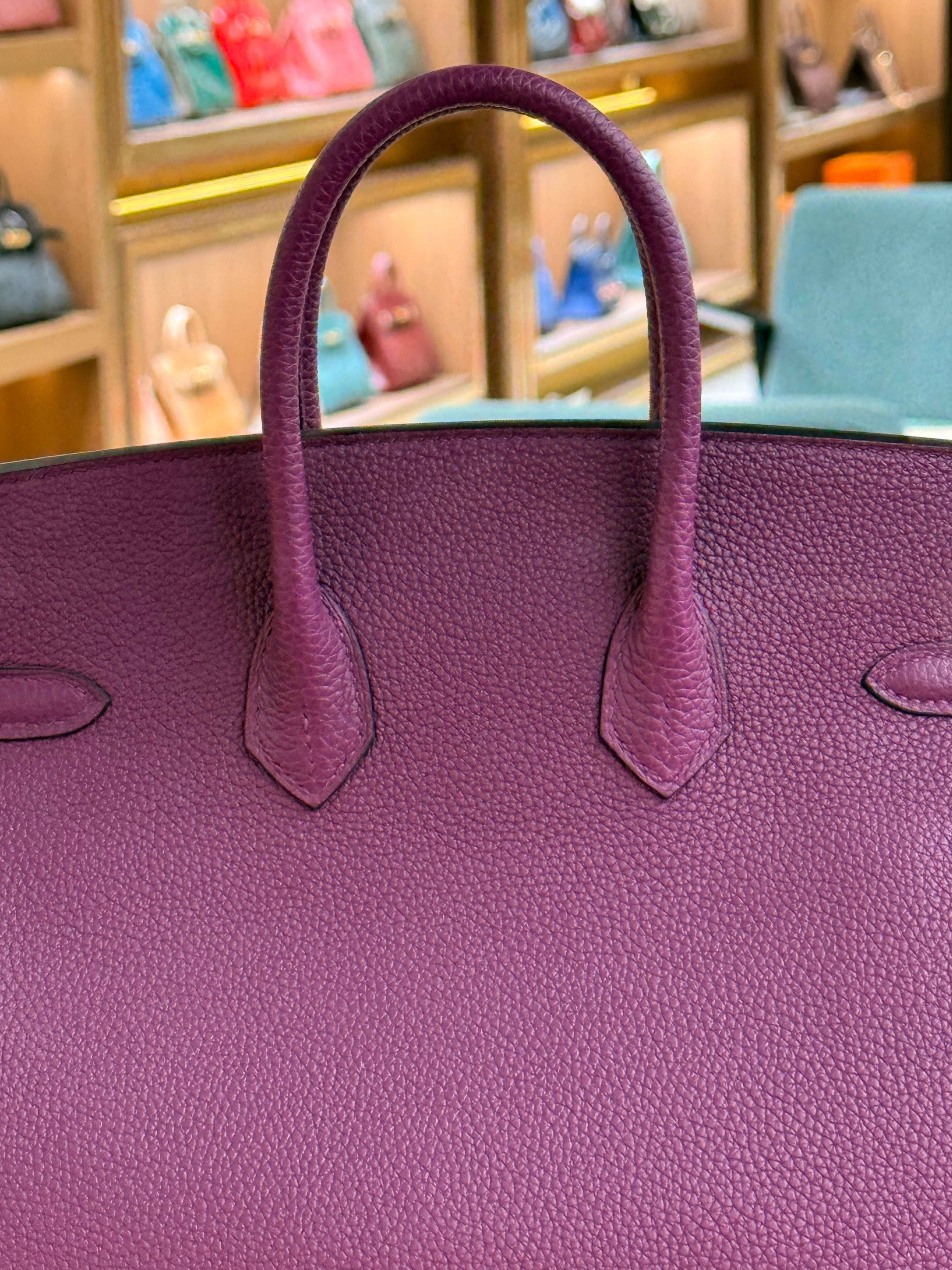 Hermes | Birkin (25) – Togo – Violet – Gold Hardware
