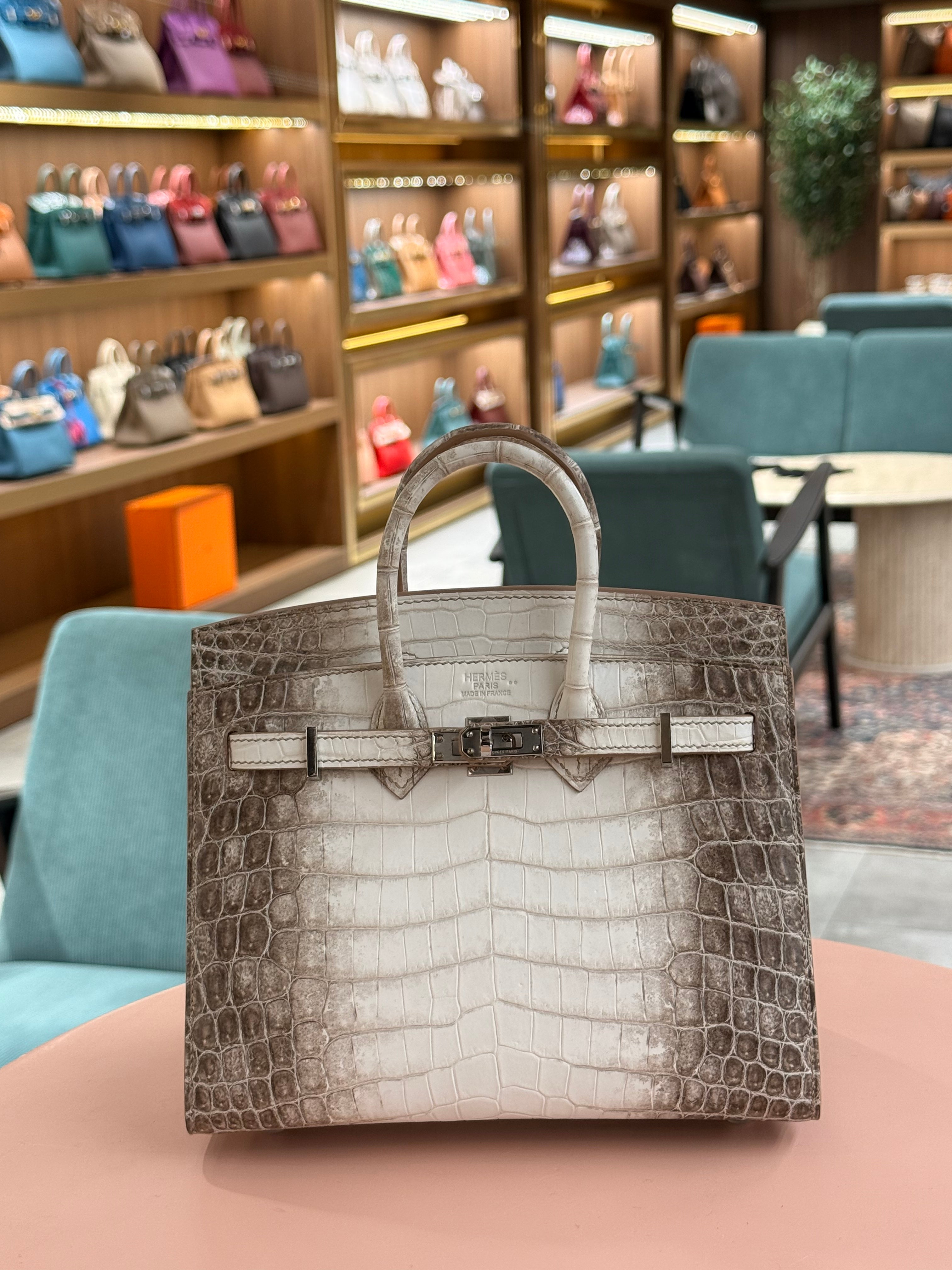 Hermes | Birkin (20) – Crocodile – Himalaya – Palladium Hardware