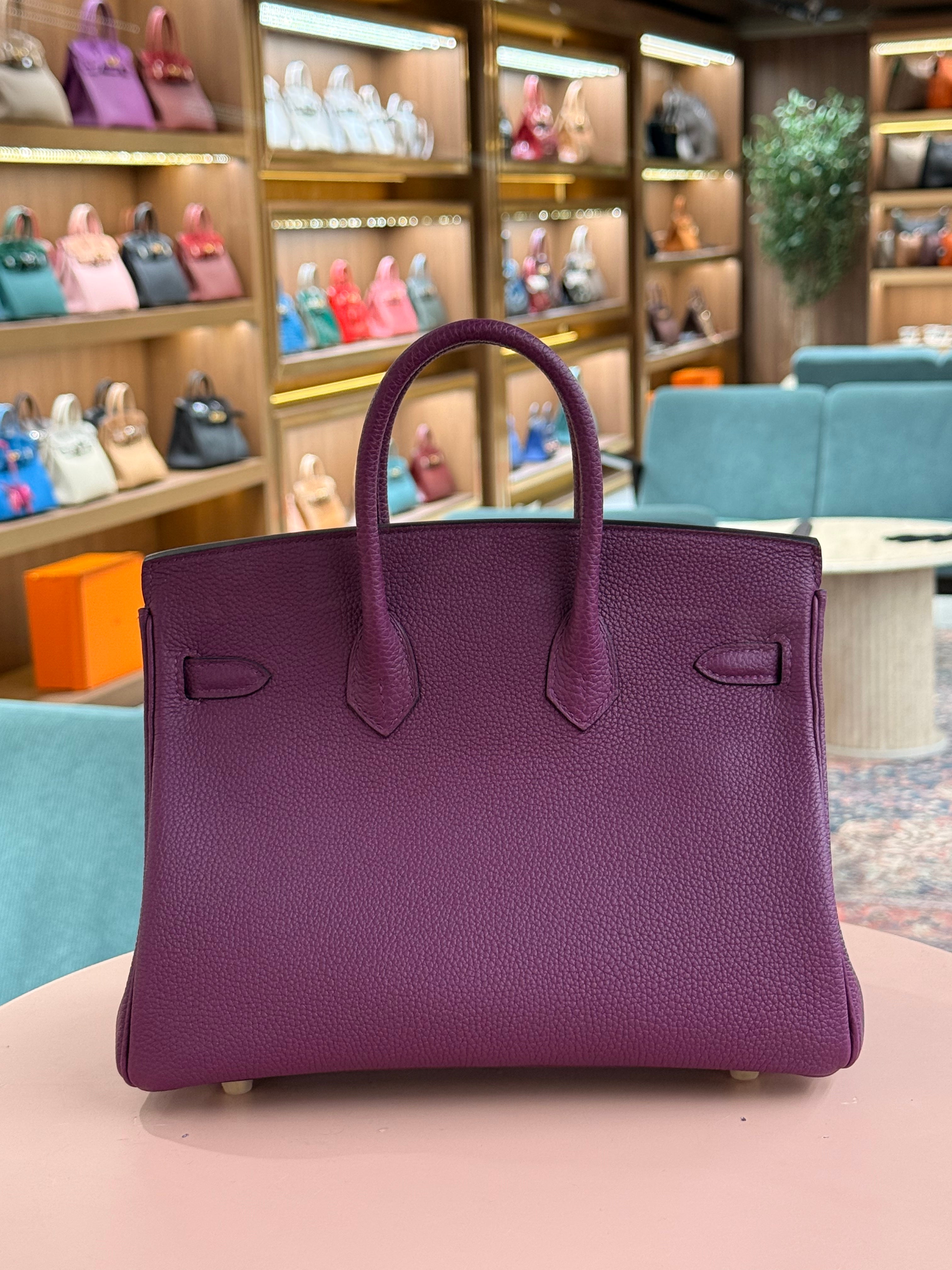 Hermes | Birkin (25) – Togo – Violet – Gold Hardware