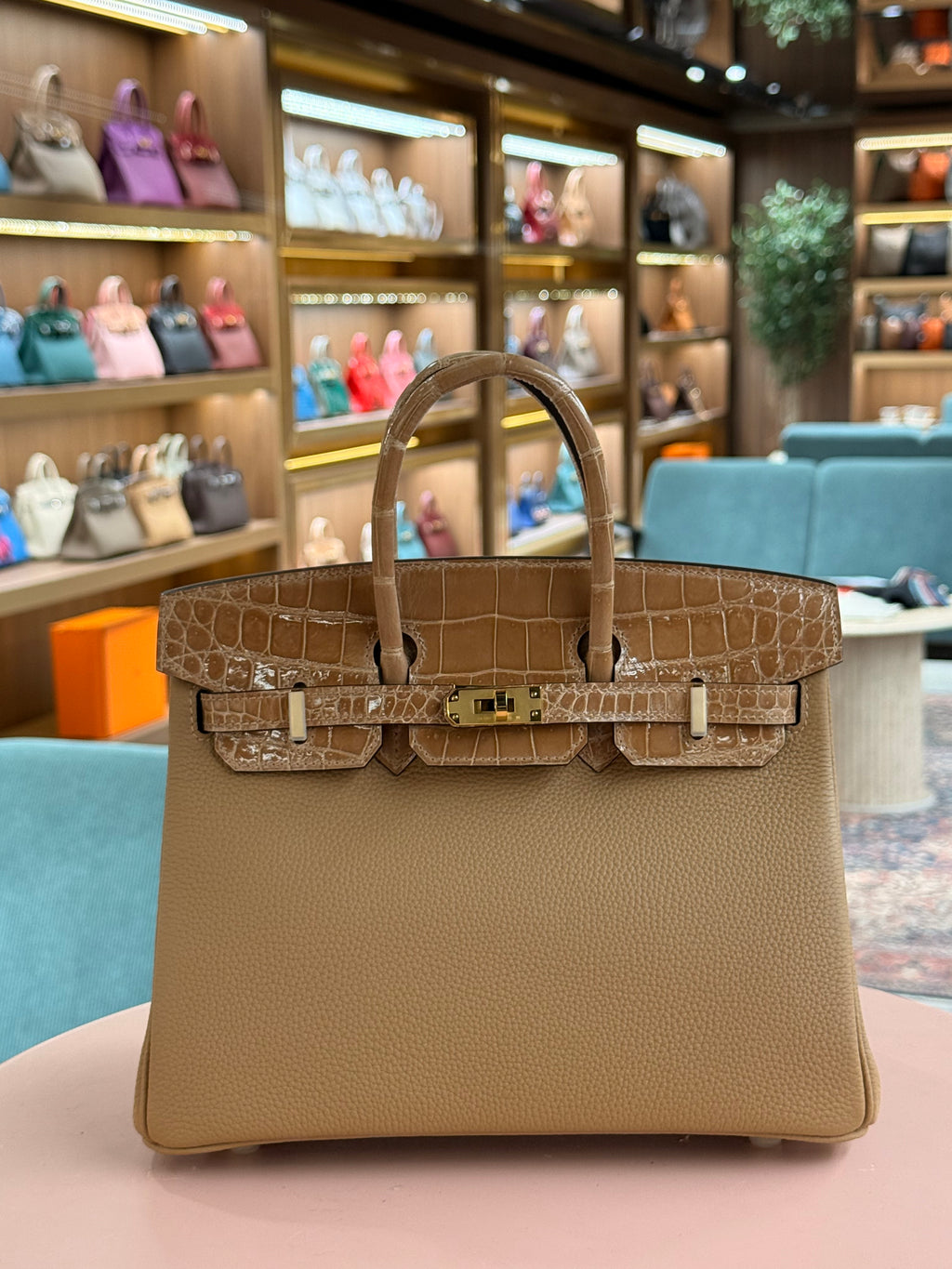 Hermes | Birkin Touch (25) – Togo – Gold – Gold Hardware