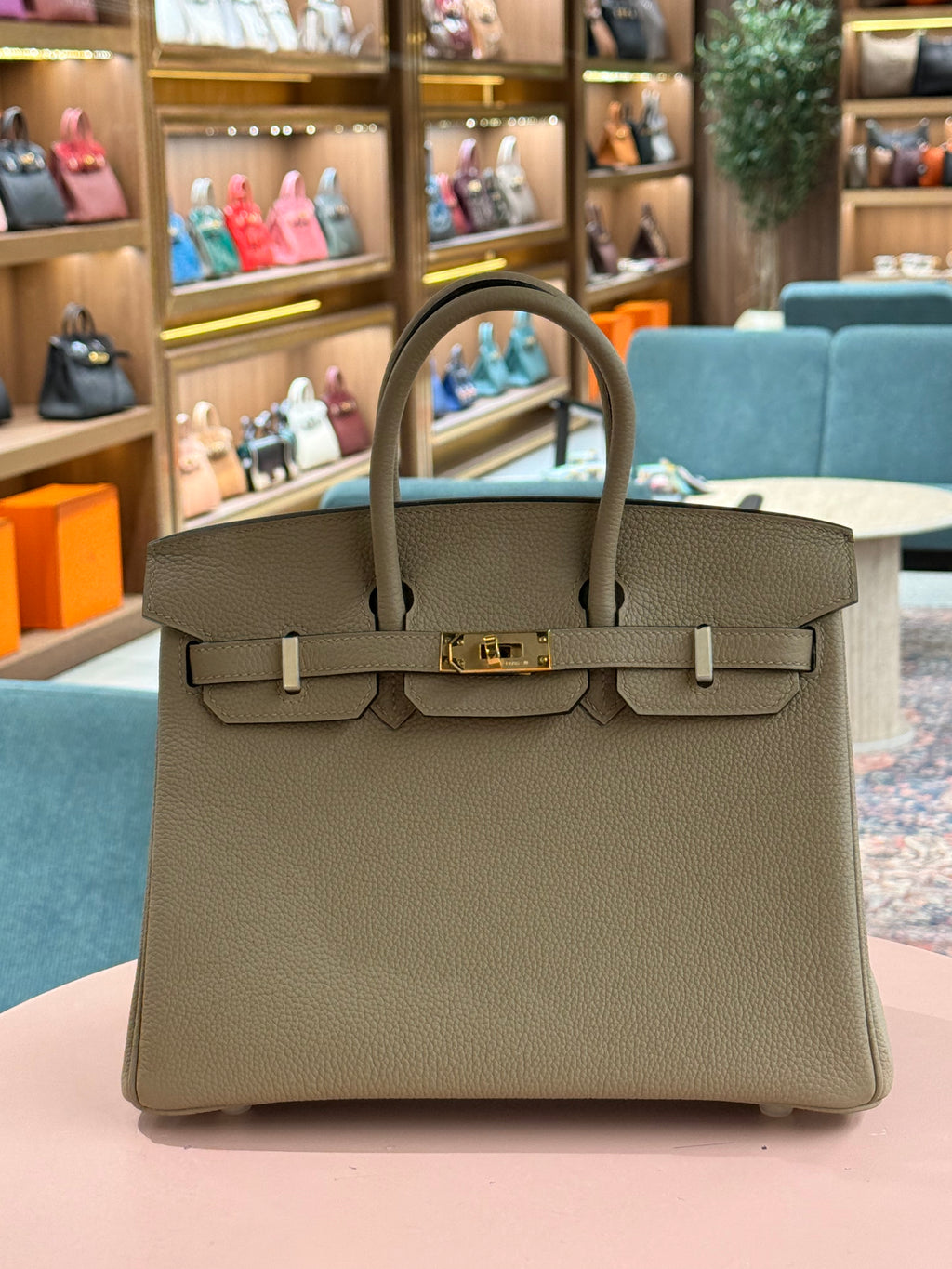 Hermes | Birkin (25) – Togo – Etoupe – Gold Hardware