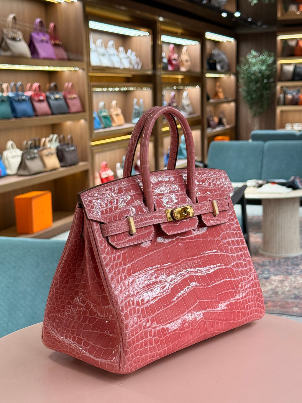 Hermes | Birkin (25) – Crocodile – Rose Sakura – Gold Hardware
