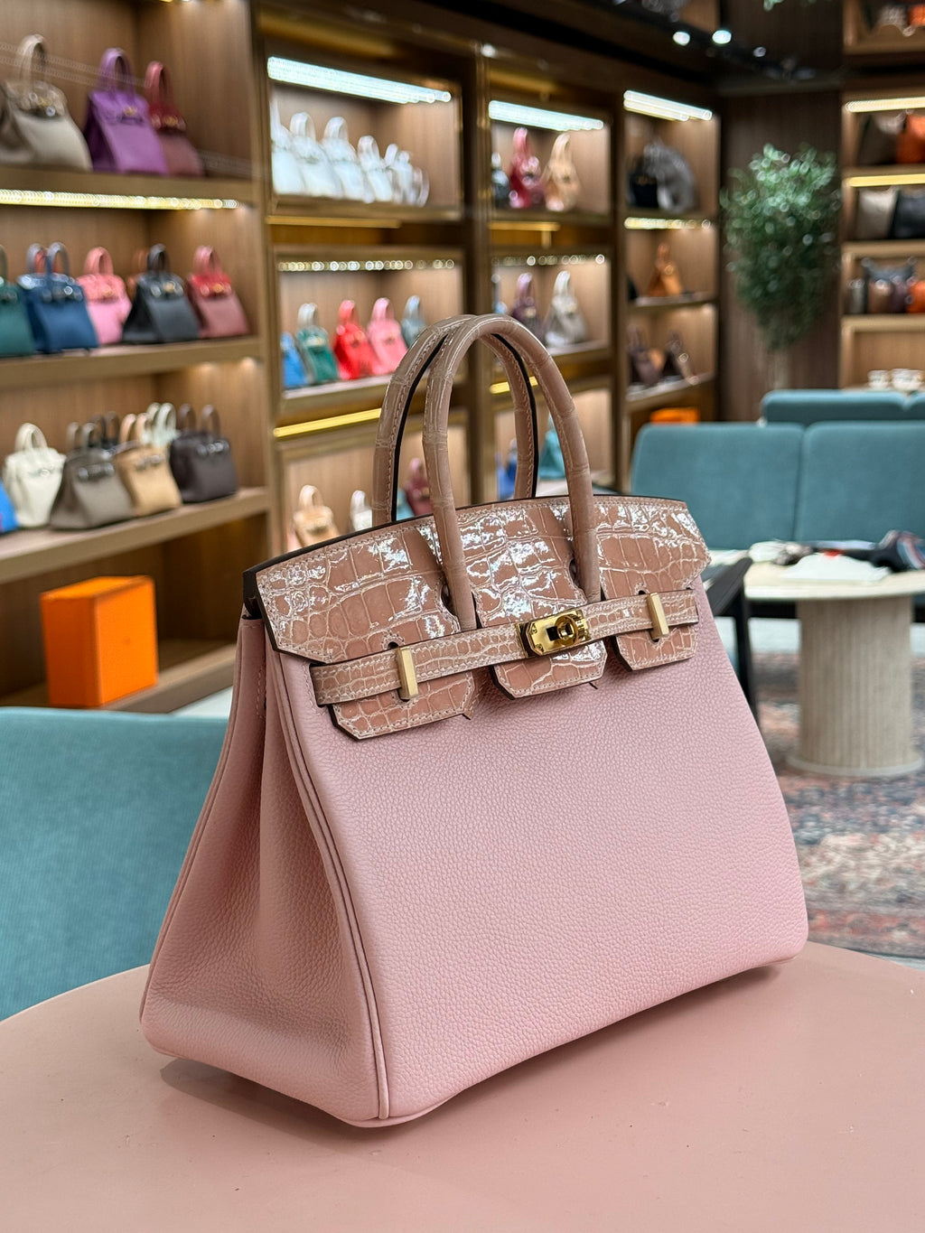 Hermes | Birkin (25) – Togo – Rose Sakura – Gold Hardware
