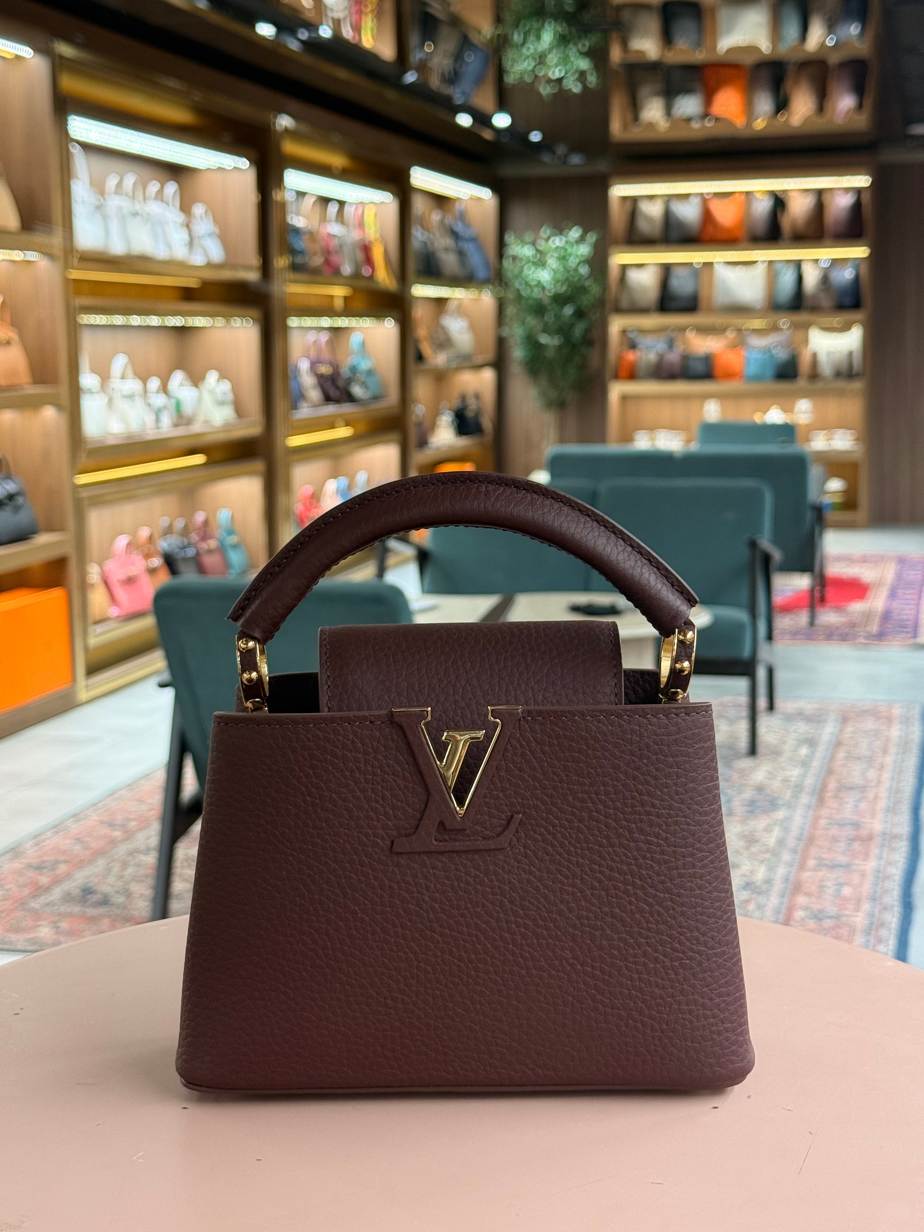 Louis Vuitton | Capucines (Mini) – Leather – Burgundy – Gold Hardware