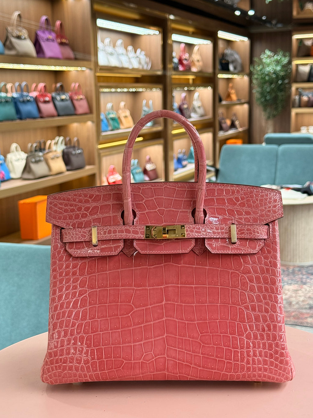 Hermes | Birkin (25) – Crocodile – Rose Sakura – Gold Hardware