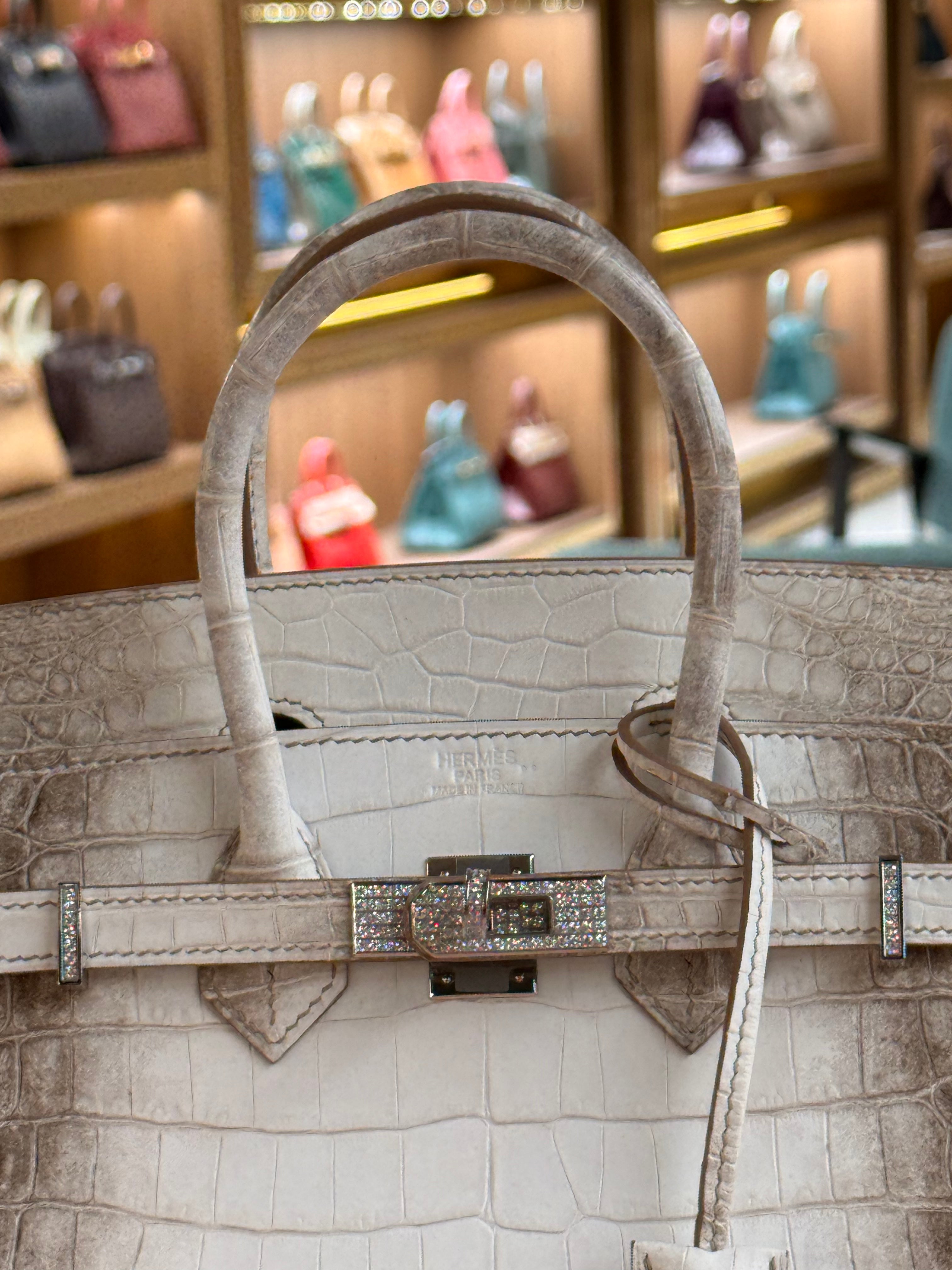 Hermes | Birkin (25) – Crocodile – Himalaya – Palladium Hardware