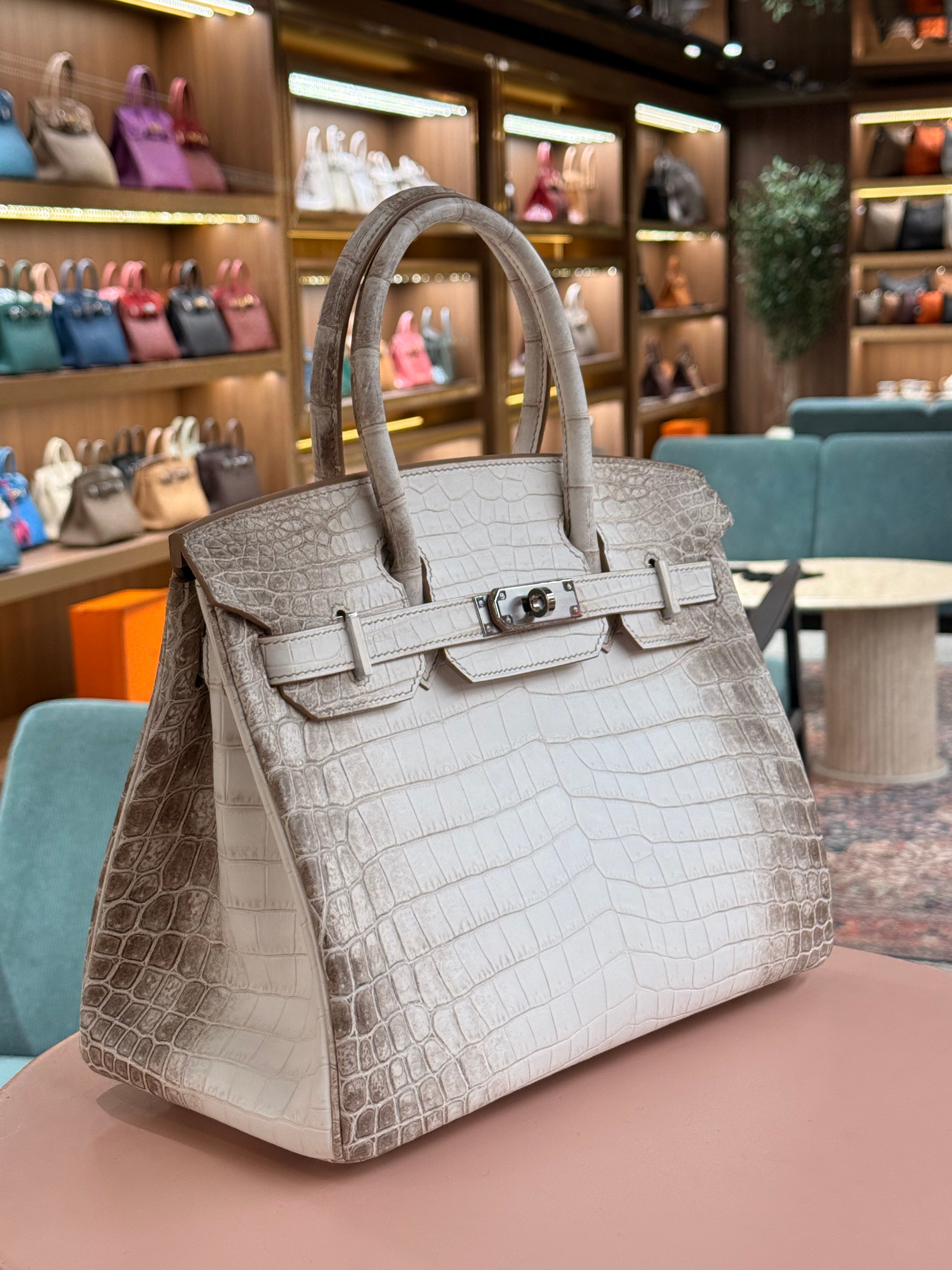 Hermes | Birkin (30) – Crocodile – Himalaya – Palladium Hardware