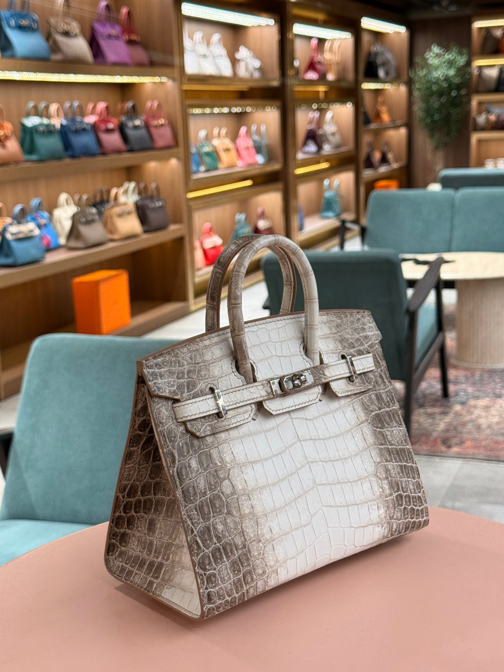 Hermes | Birkin (20) – Crocodile – Himalaya – Palladium Hardware