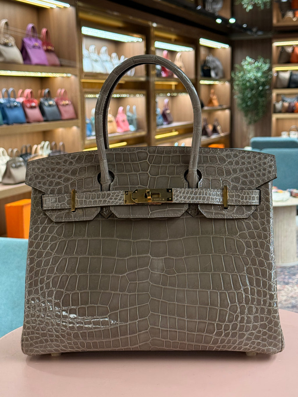 Hermes | Birkin (30) – Crocodile – Gris Tigré – Gold Hardware