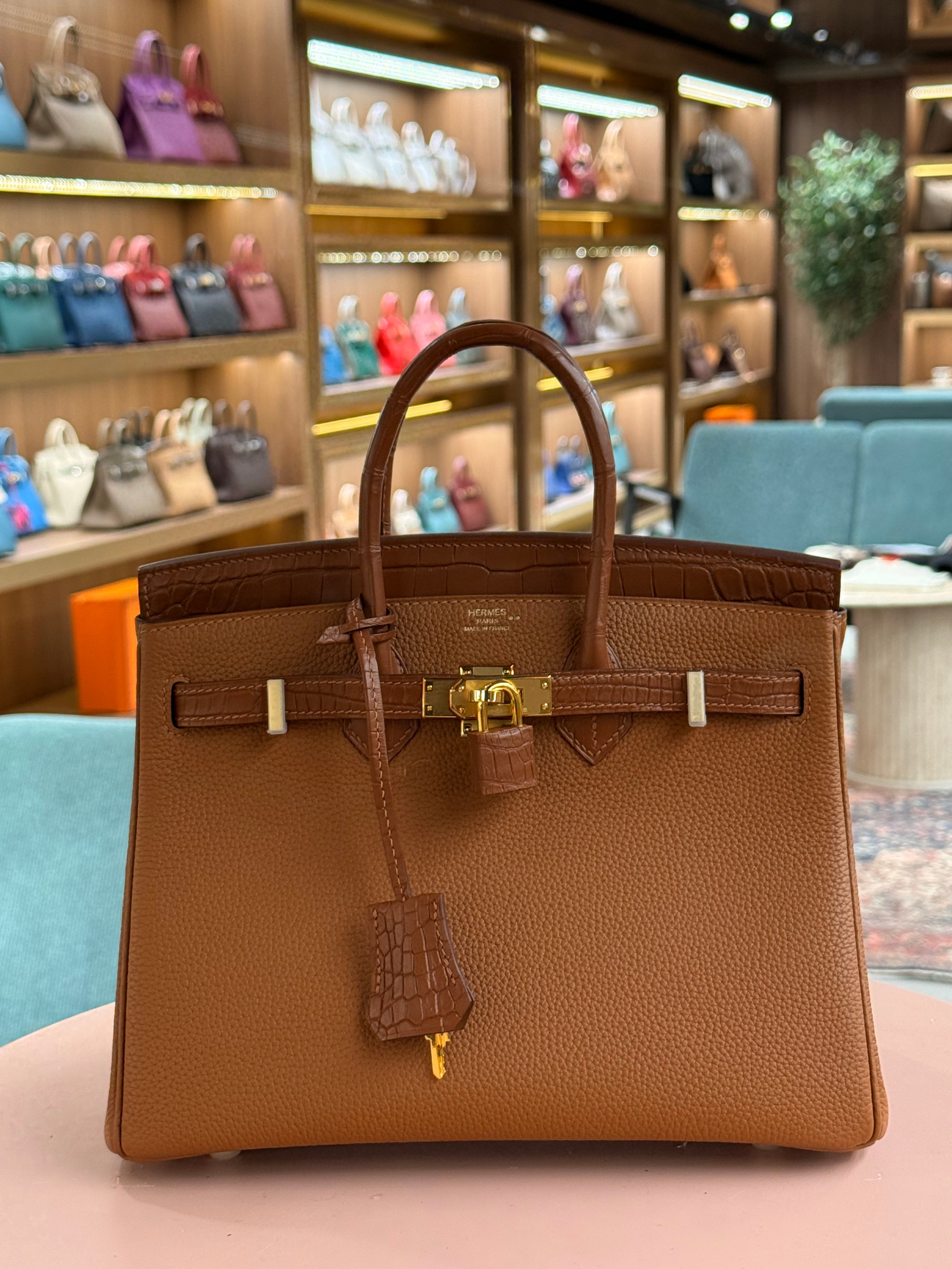 Hermes | Birkin Touch (25) – Togo – Brown – Gold Hardware