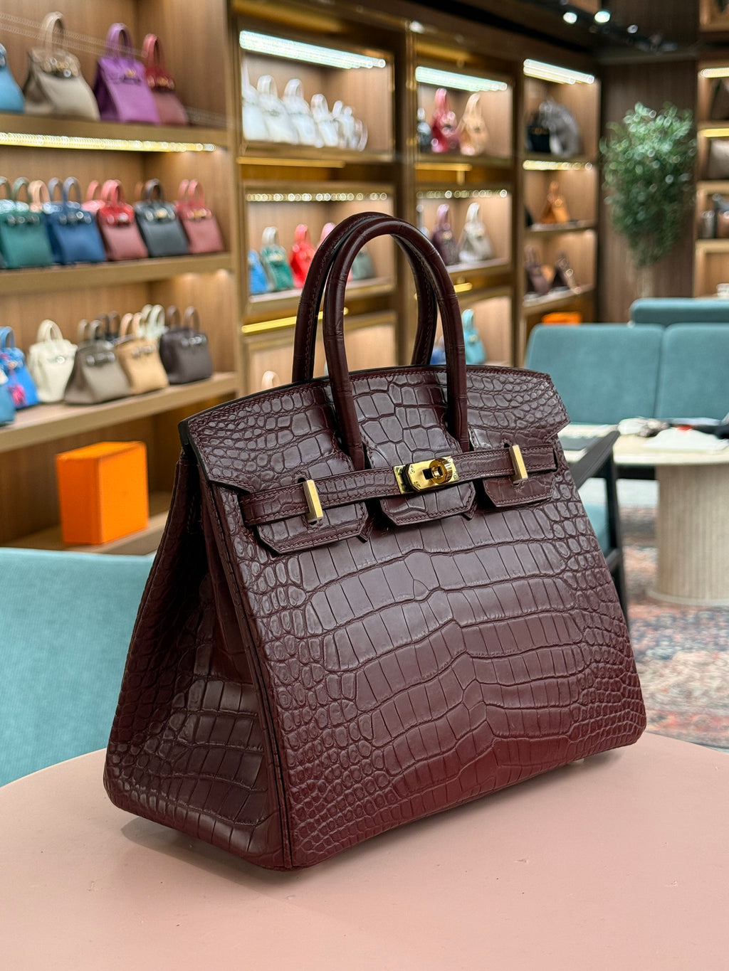 Hermes | Birkin (25) – Crocodile – Rouge H – Gold Hardware