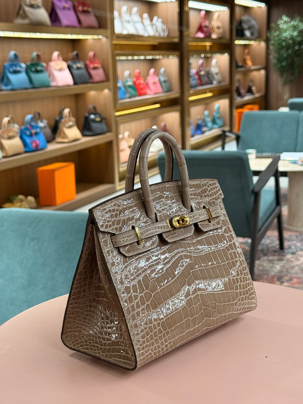 Hermes | Birkin (20) – Crocodile – Beige – Gold Hardware