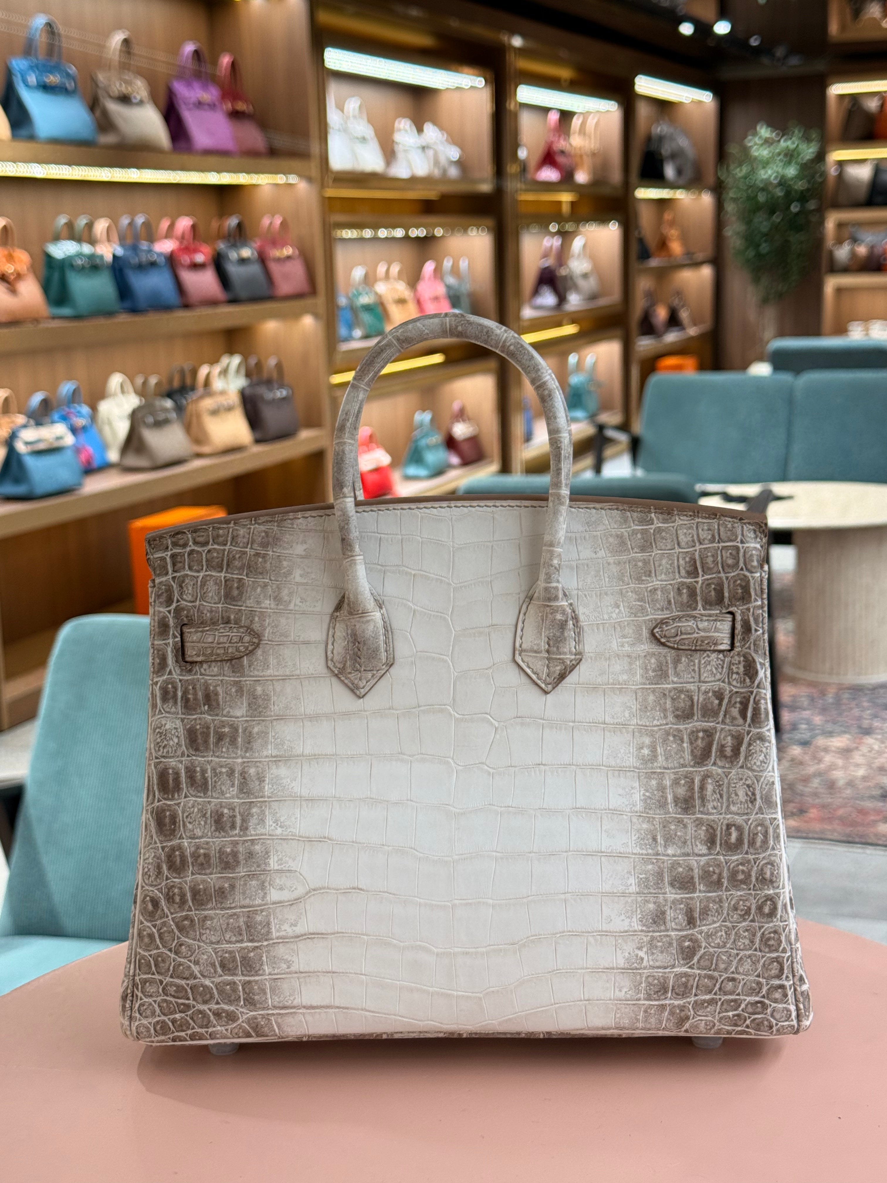 Hermes | Birkin (25) – Crocodile – Himalaya – Palladium Hardware