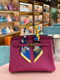 Hermes | Birkin (25) – Togo – Fuchsia – Gold Hardware