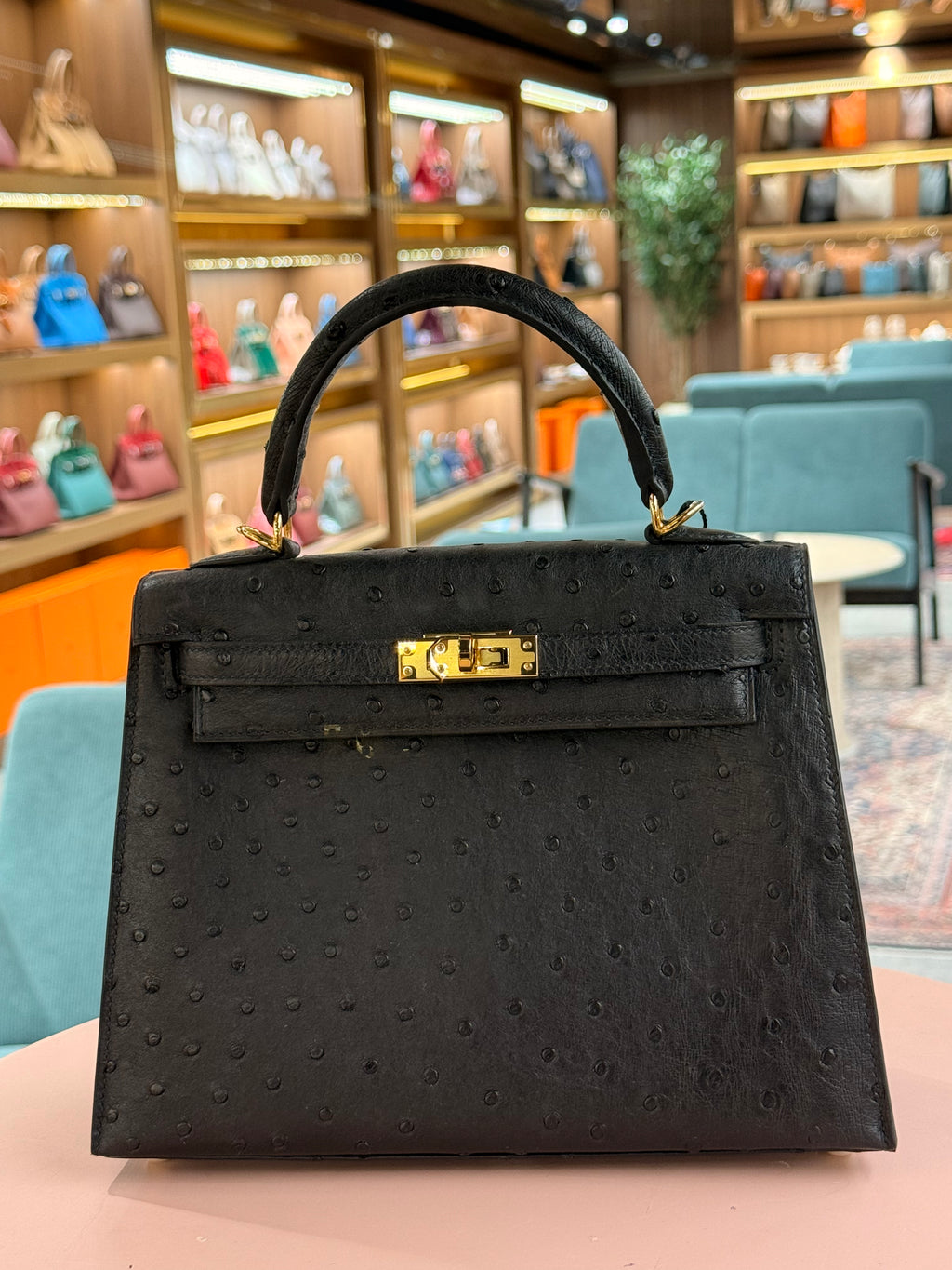 Hermes | Kelly (25) – Ostrich – Black – Gold Hardware