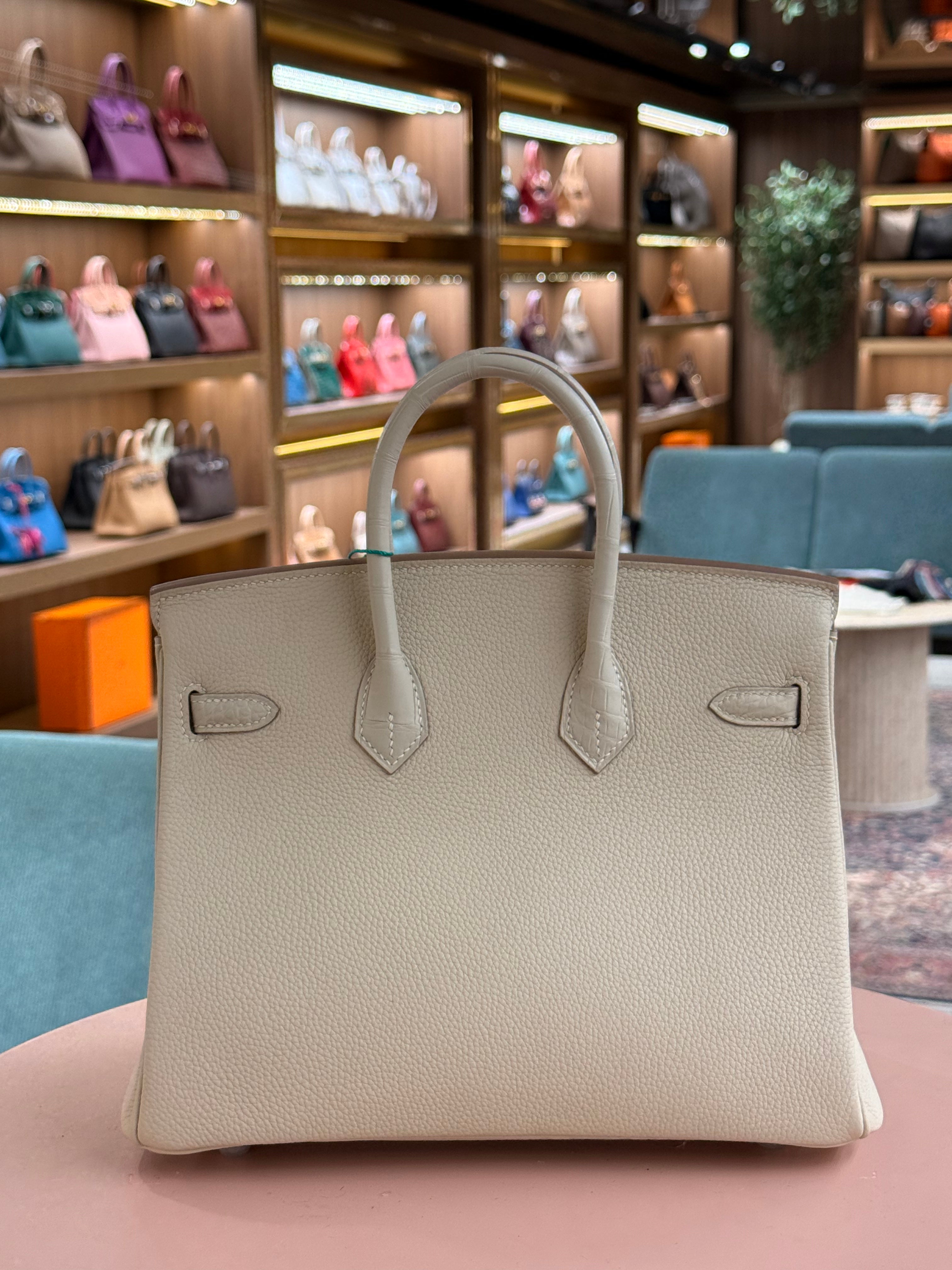 Hermes | Birkin Touch (25) – Togo – Creme – Palladium Hardware