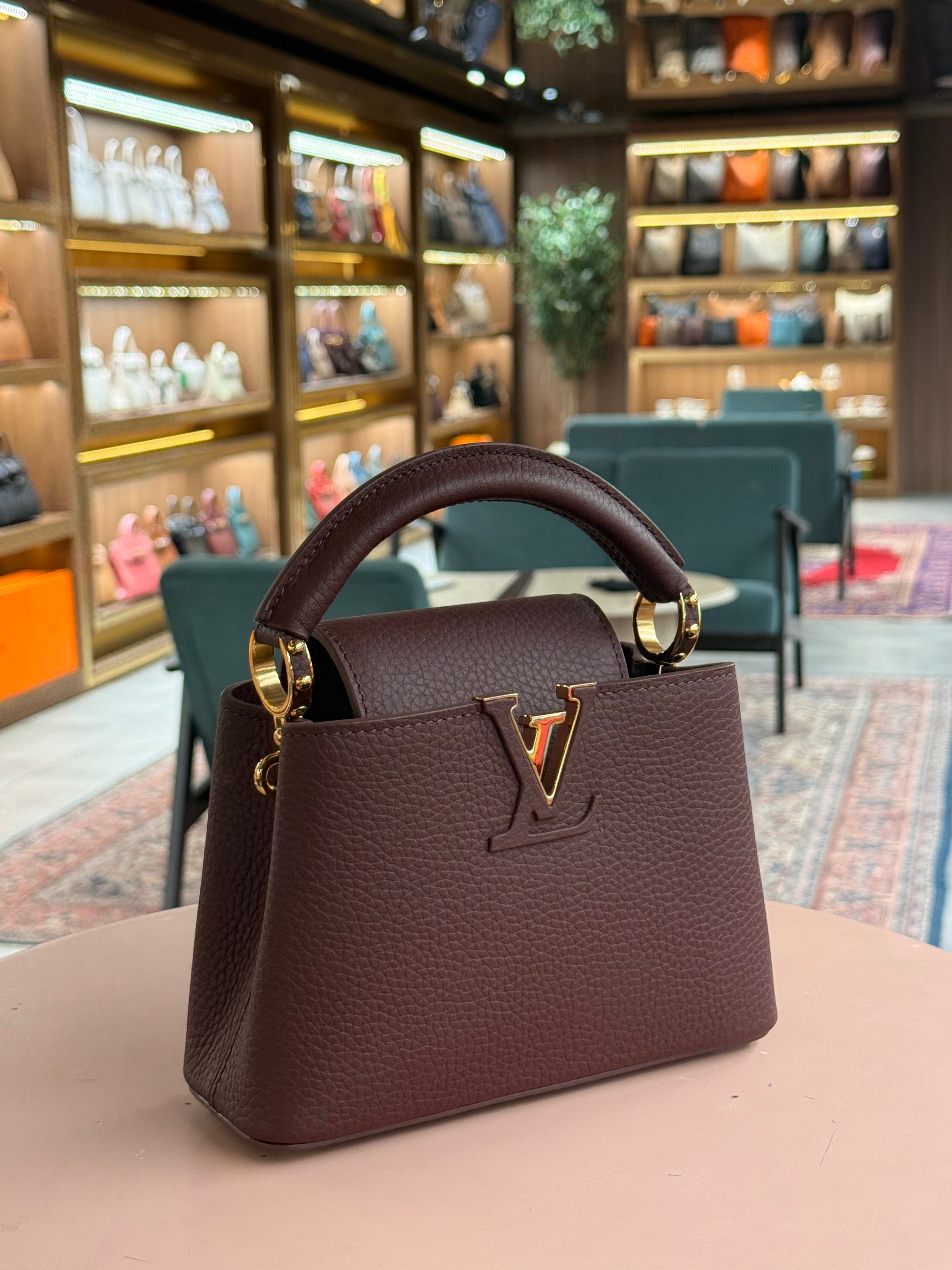 Louis Vuitton | Capucines (Mini) – Leather – Burgundy – Gold Hardware