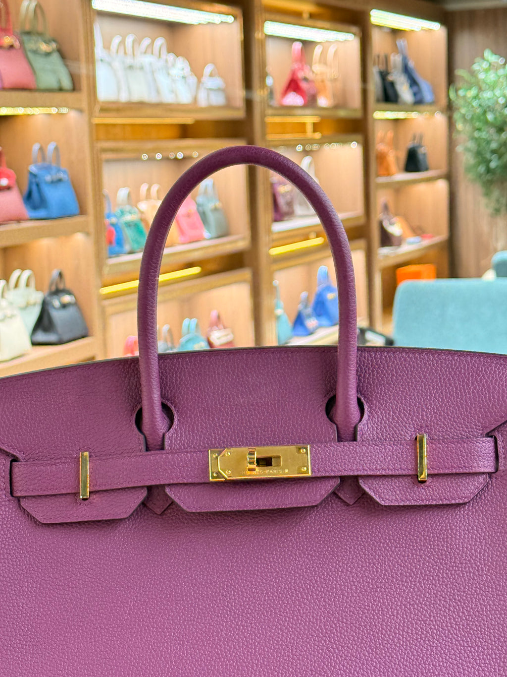 Hermes | Birkin (30) – Togo – Violet – Gold Hardware
