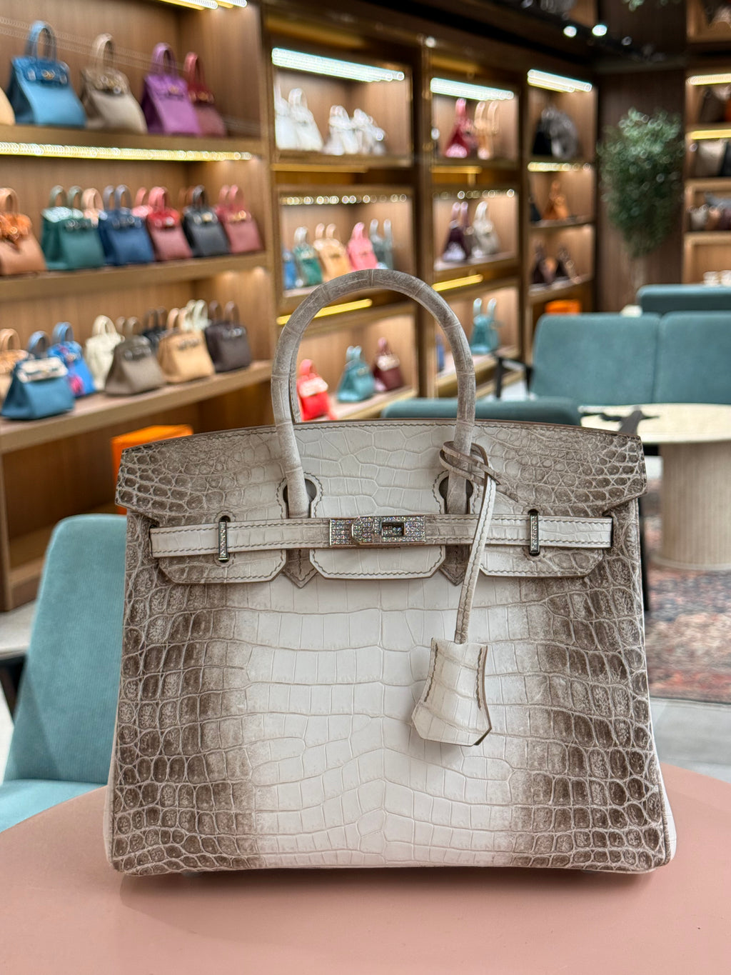 Hermes | Birkin (25) – Crocodile – Himalaya – Palladium Hardware