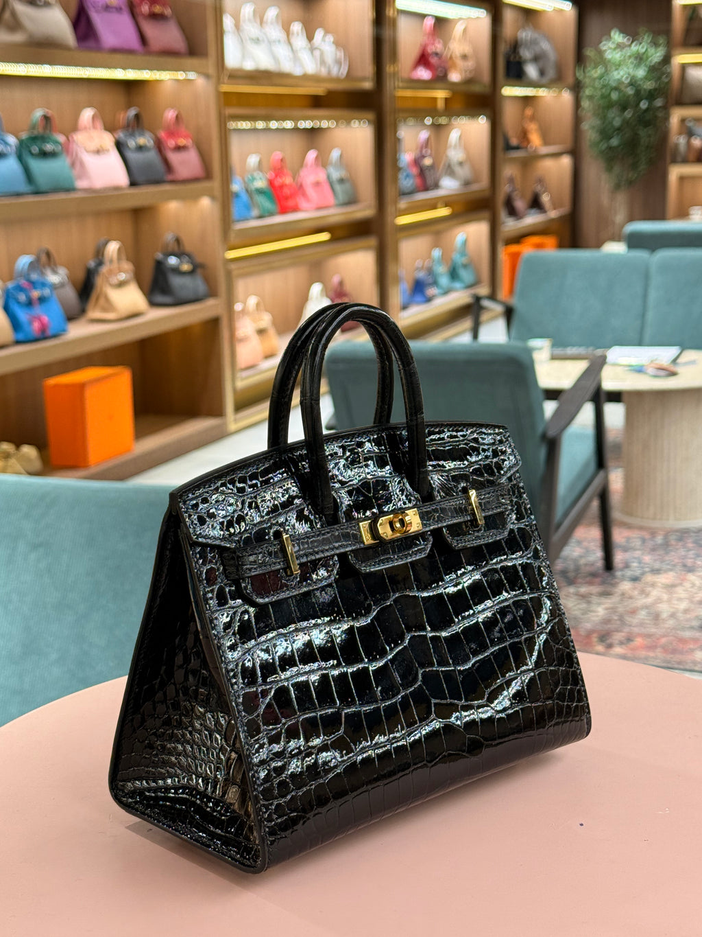 Hermes | Birkin (20) – Crocodile – Black – Gold Hardware