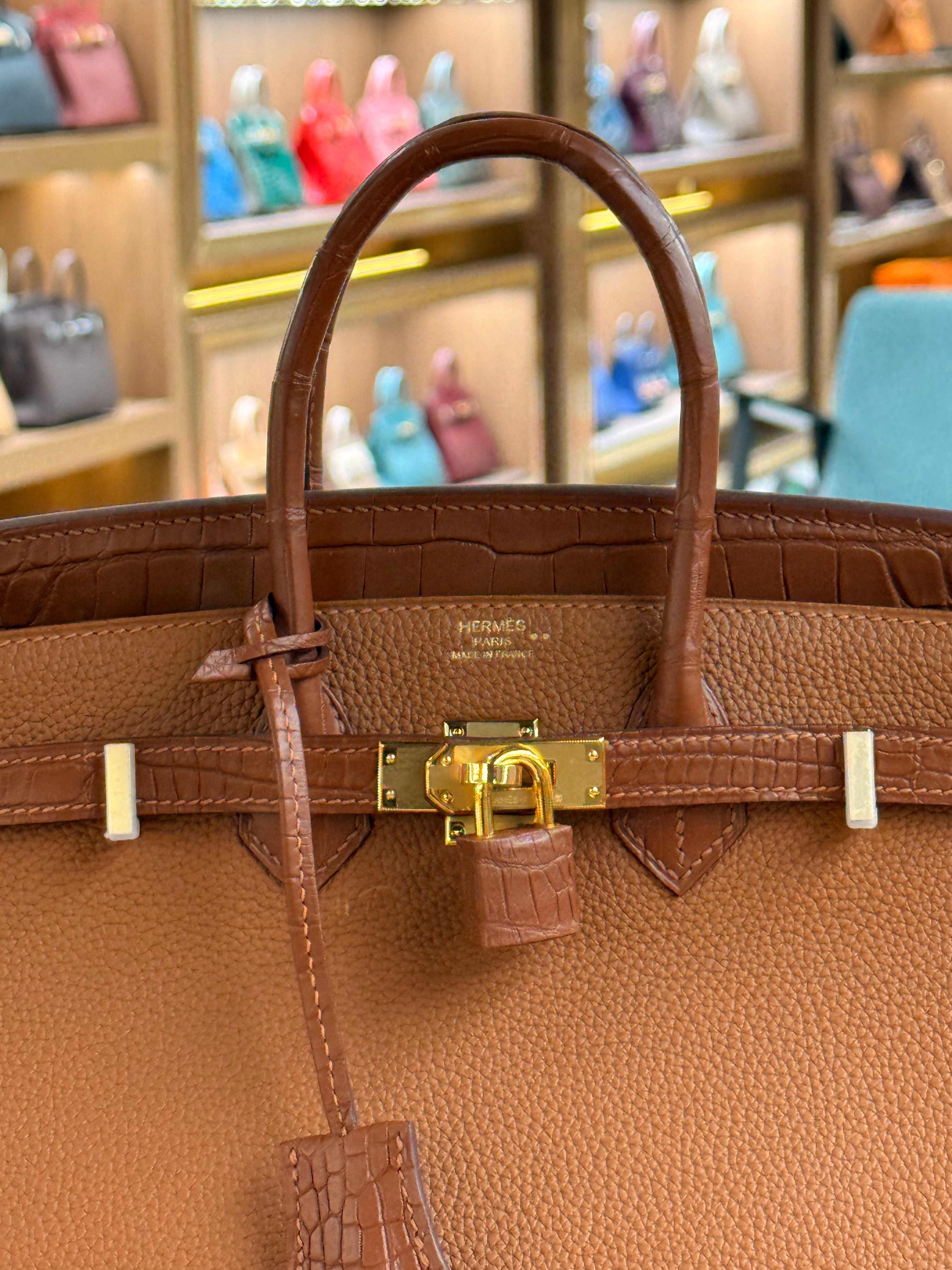 Hermes | Birkin Touch (25) – Togo – Brown – Gold Hardware