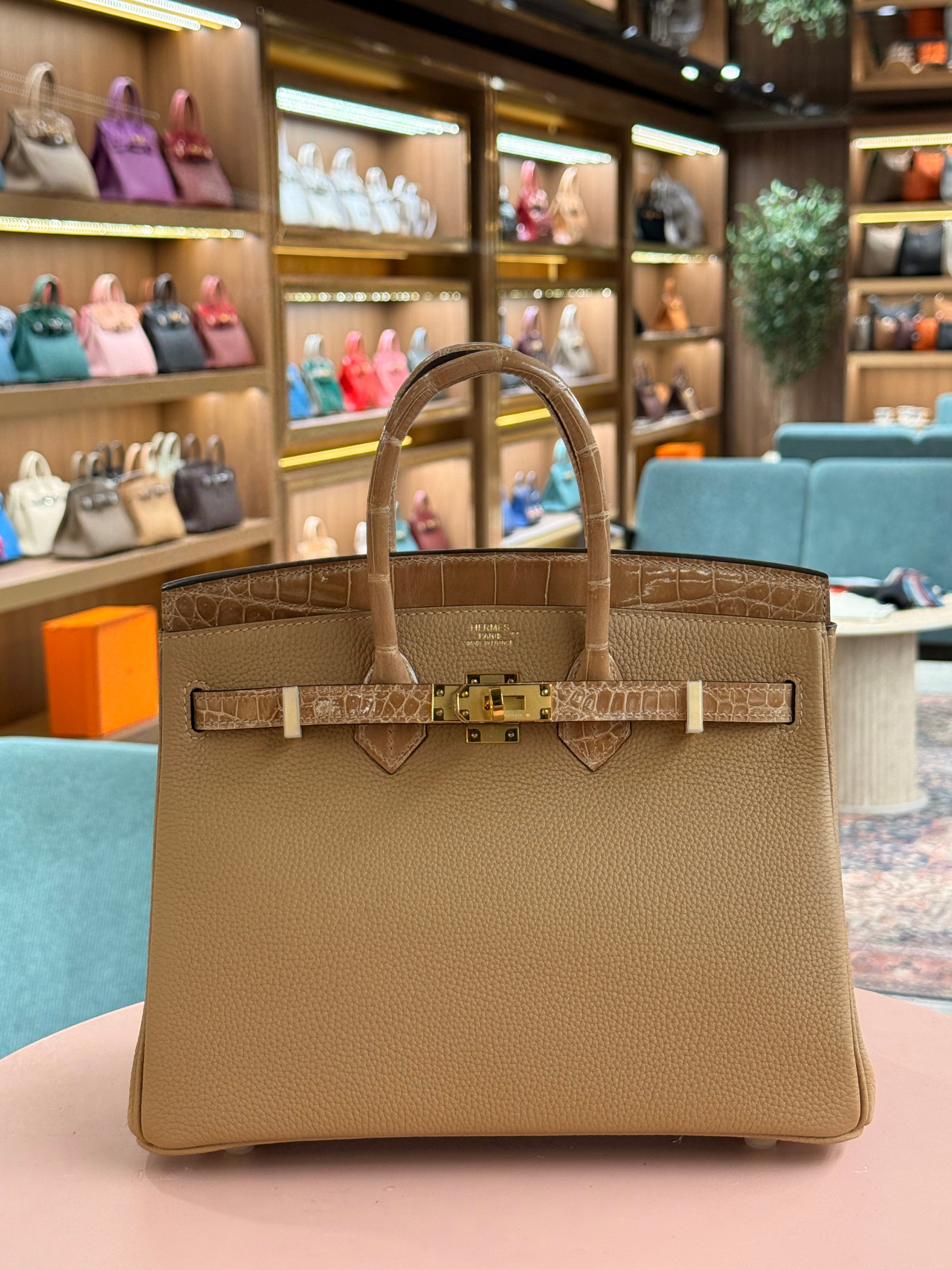 Hermes | Birkin Touch (25) – Togo – Gold – Gold Hardware