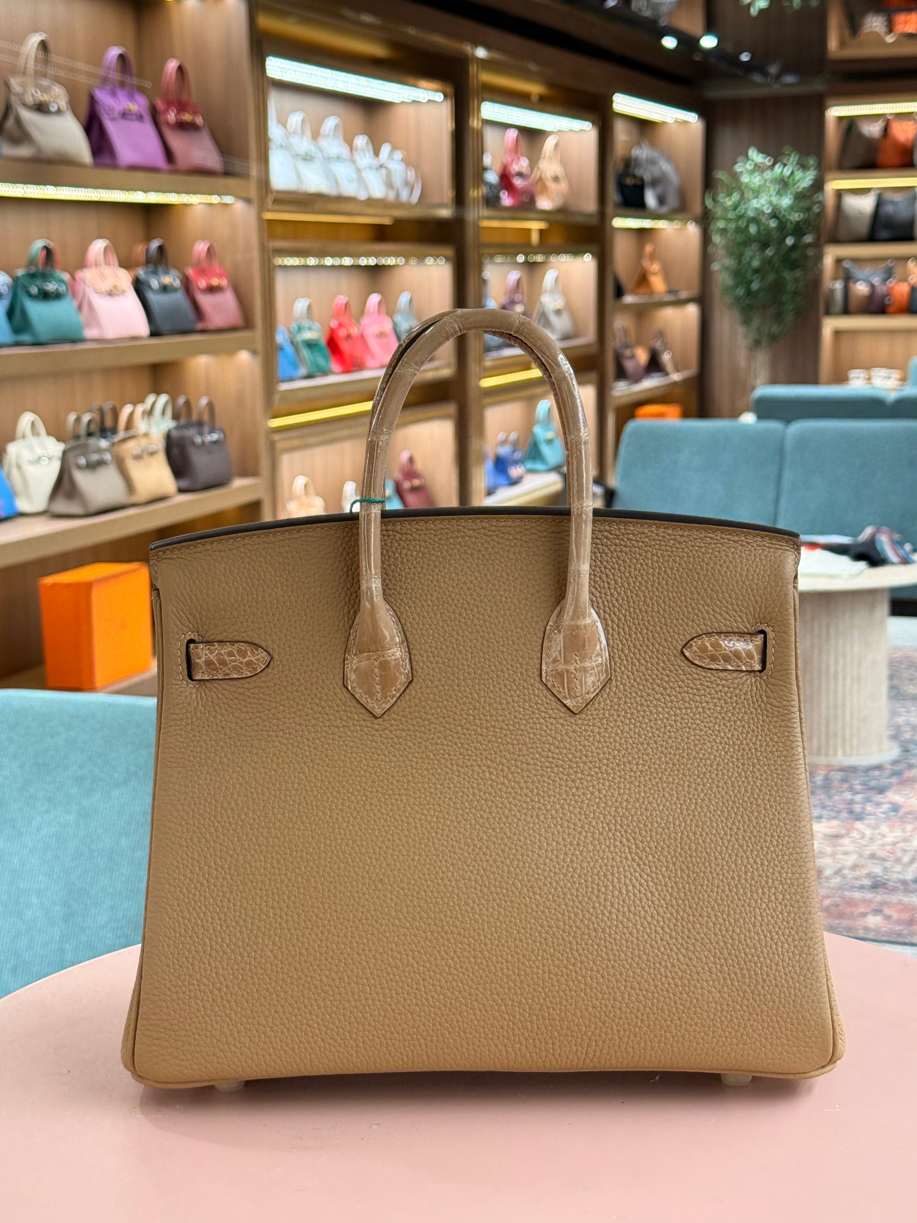 Hermes | Birkin Touch (25) – Togo – Gold – Gold Hardware