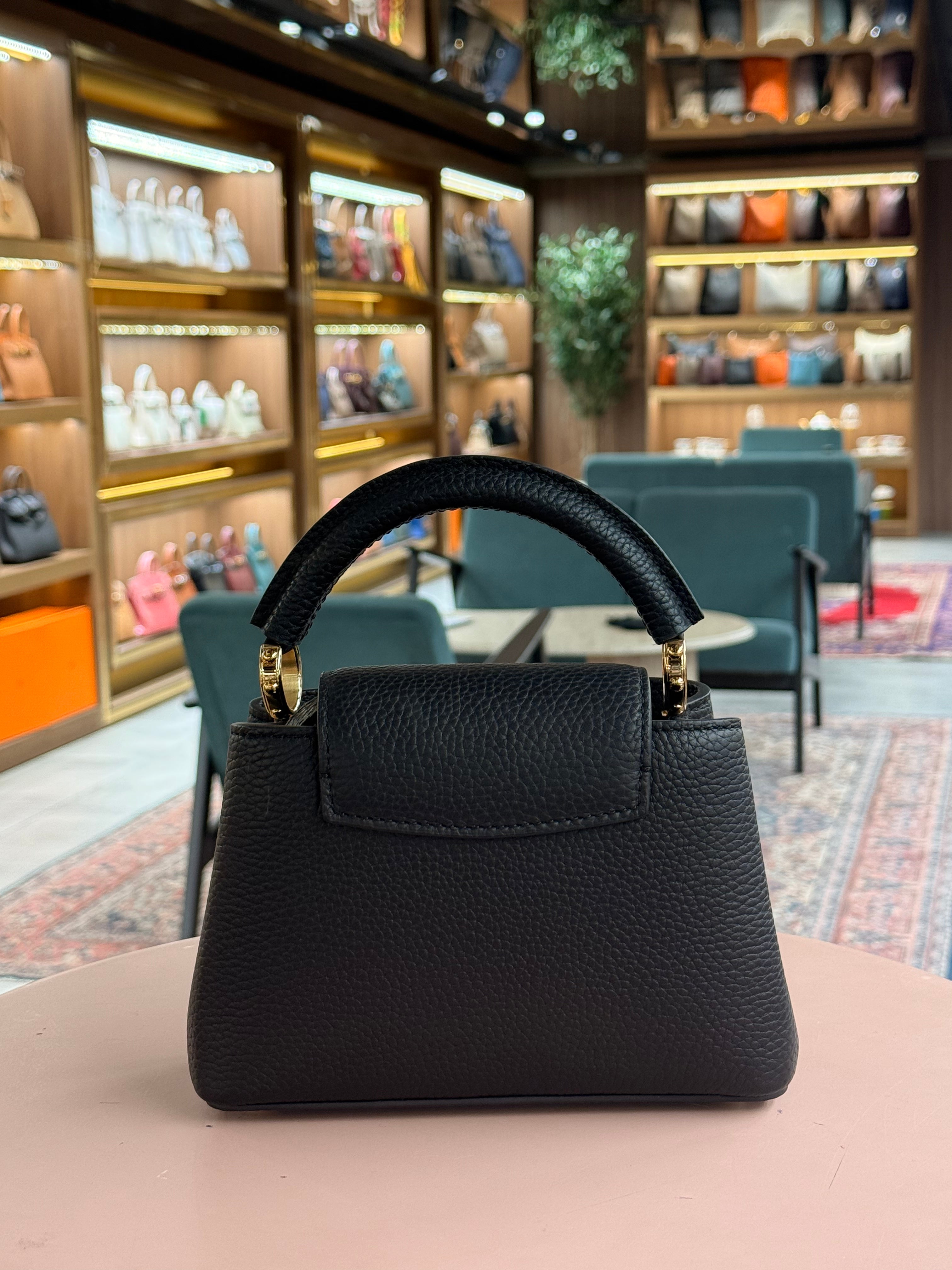 Louis Vuitton | Capucines (Mini) – Leather – Black – Gold Hardware