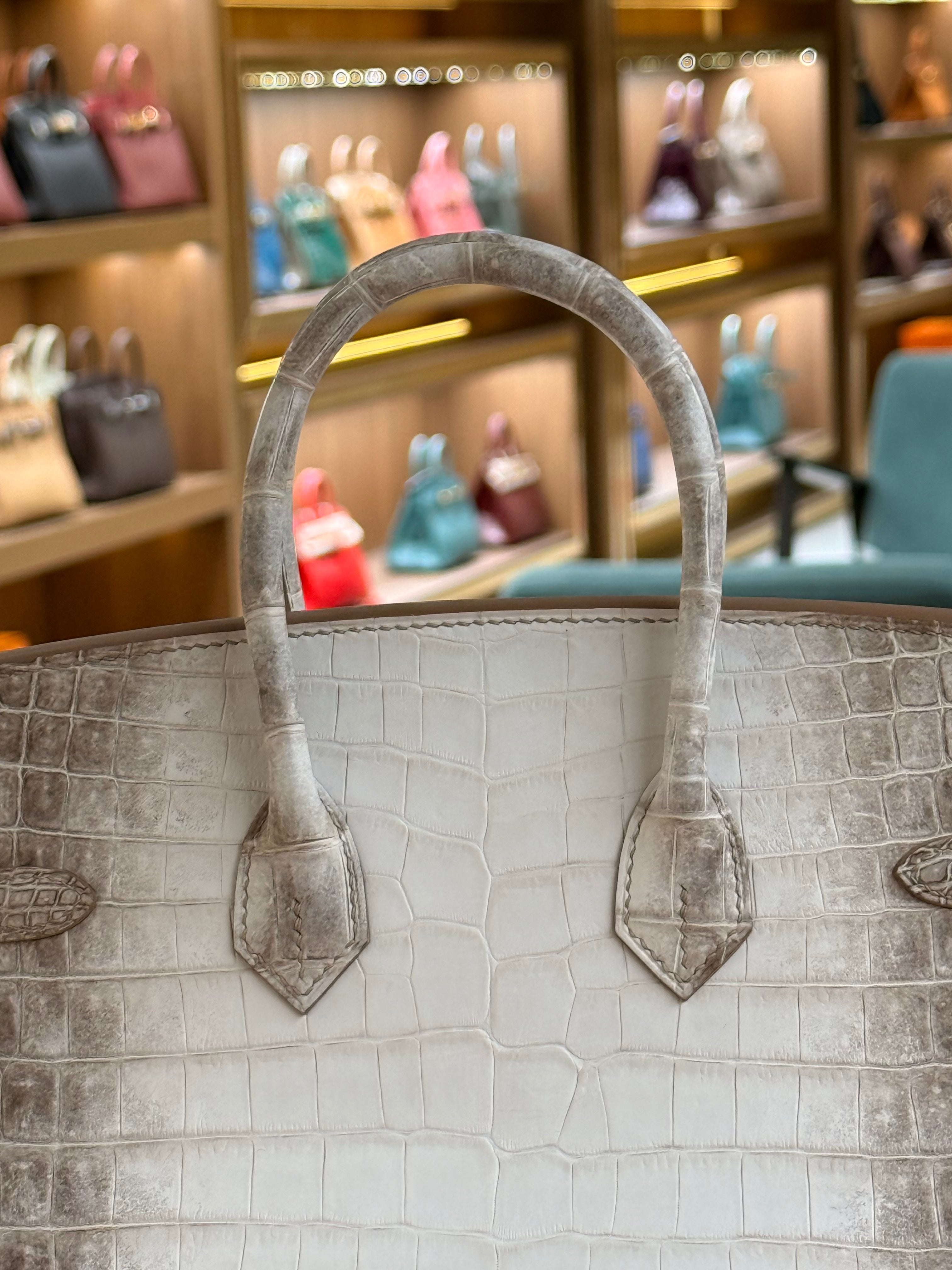 Hermes | Birkin (25) – Crocodile – Himalaya – Palladium Hardware