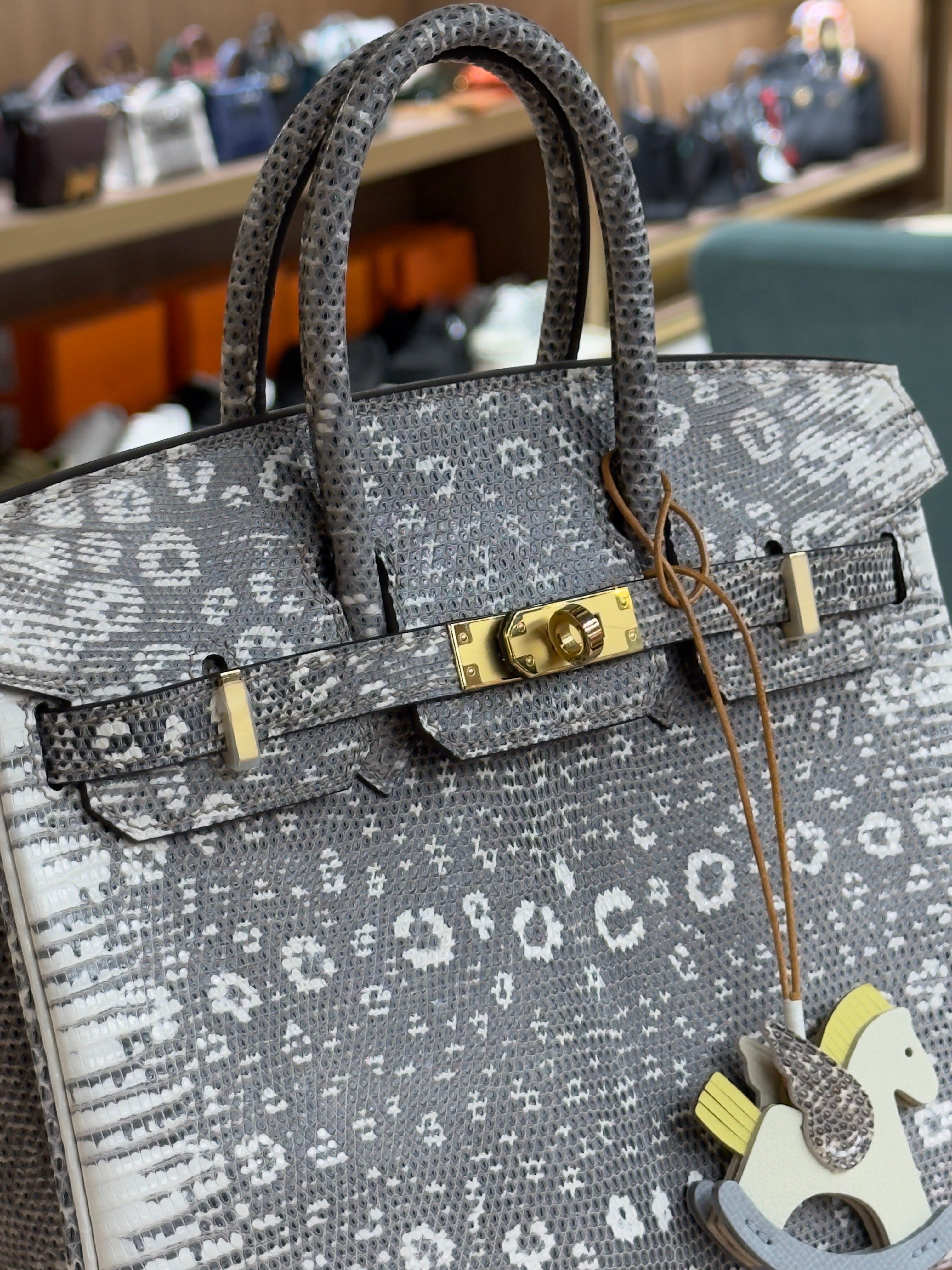 Hermes | Birkin (25) – Lizard – Grey – Gold Hardware