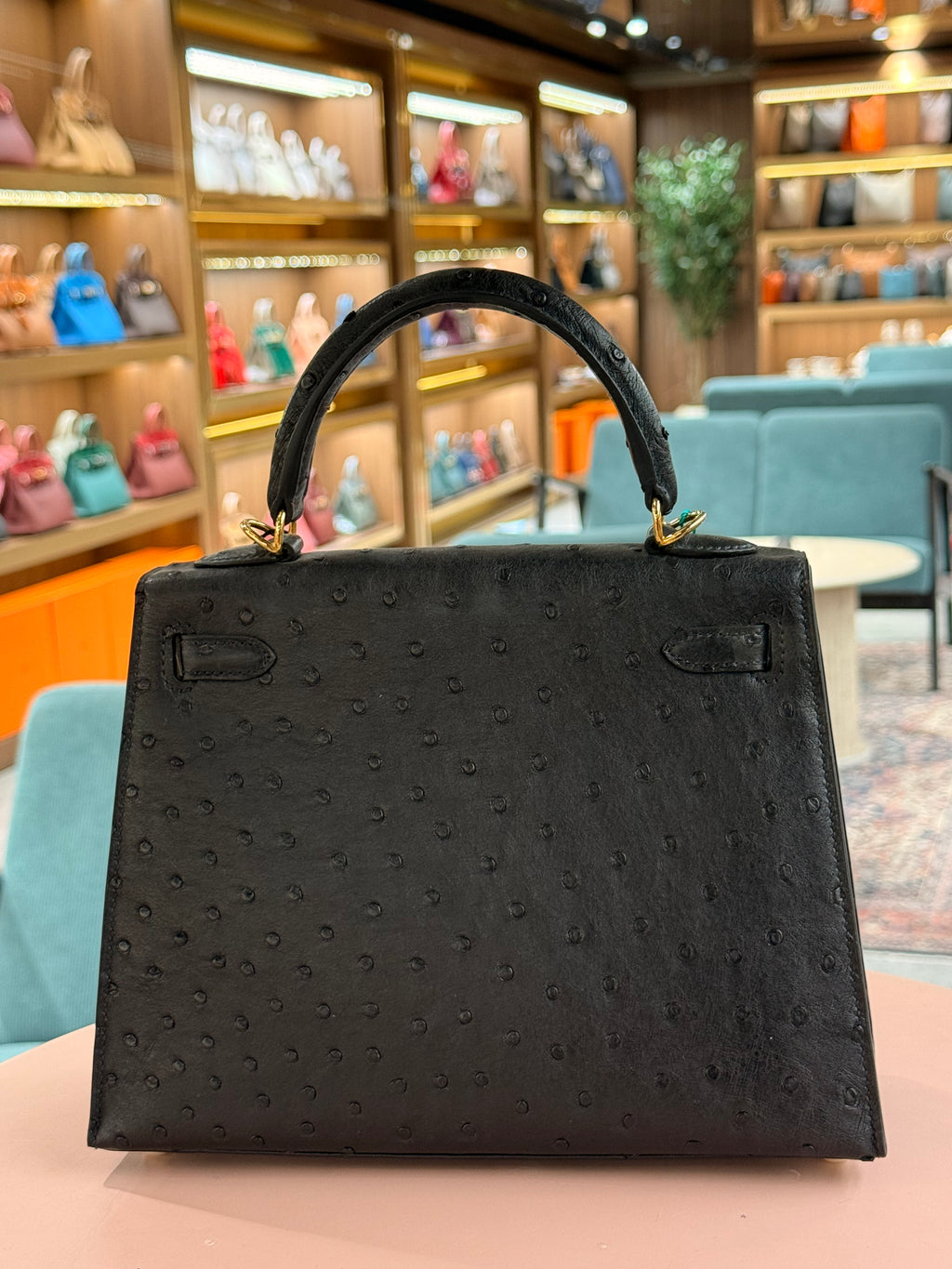 Hermes | Kelly (25) – Ostrich – Black – Gold Hardware