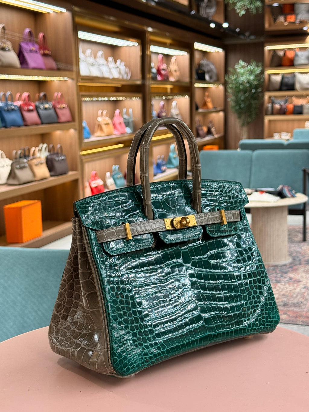 Hermes | Birkin (25) – Crocodile – Green – Gold Hardware