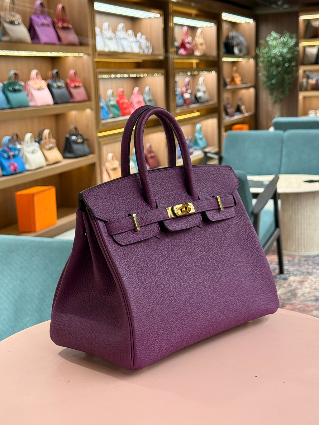 Hermes | Birkin (25) – Togo – Violet – Gold Hardware
