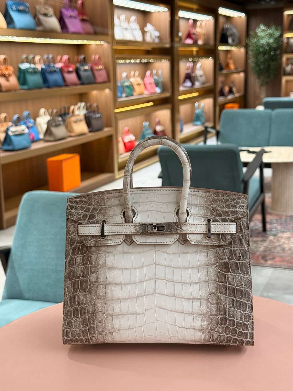 Hermes | Birkin (20) – Crocodile – Himalaya – Palladium Hardware