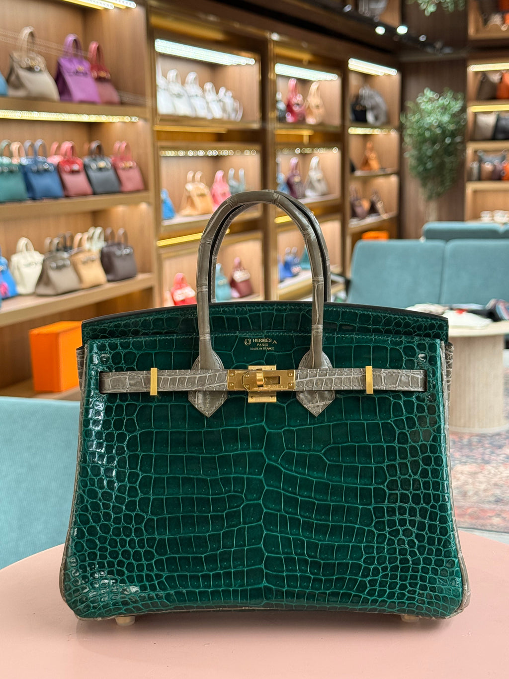 Hermes | Birkin (25) – Crocodile – Green – Gold Hardware