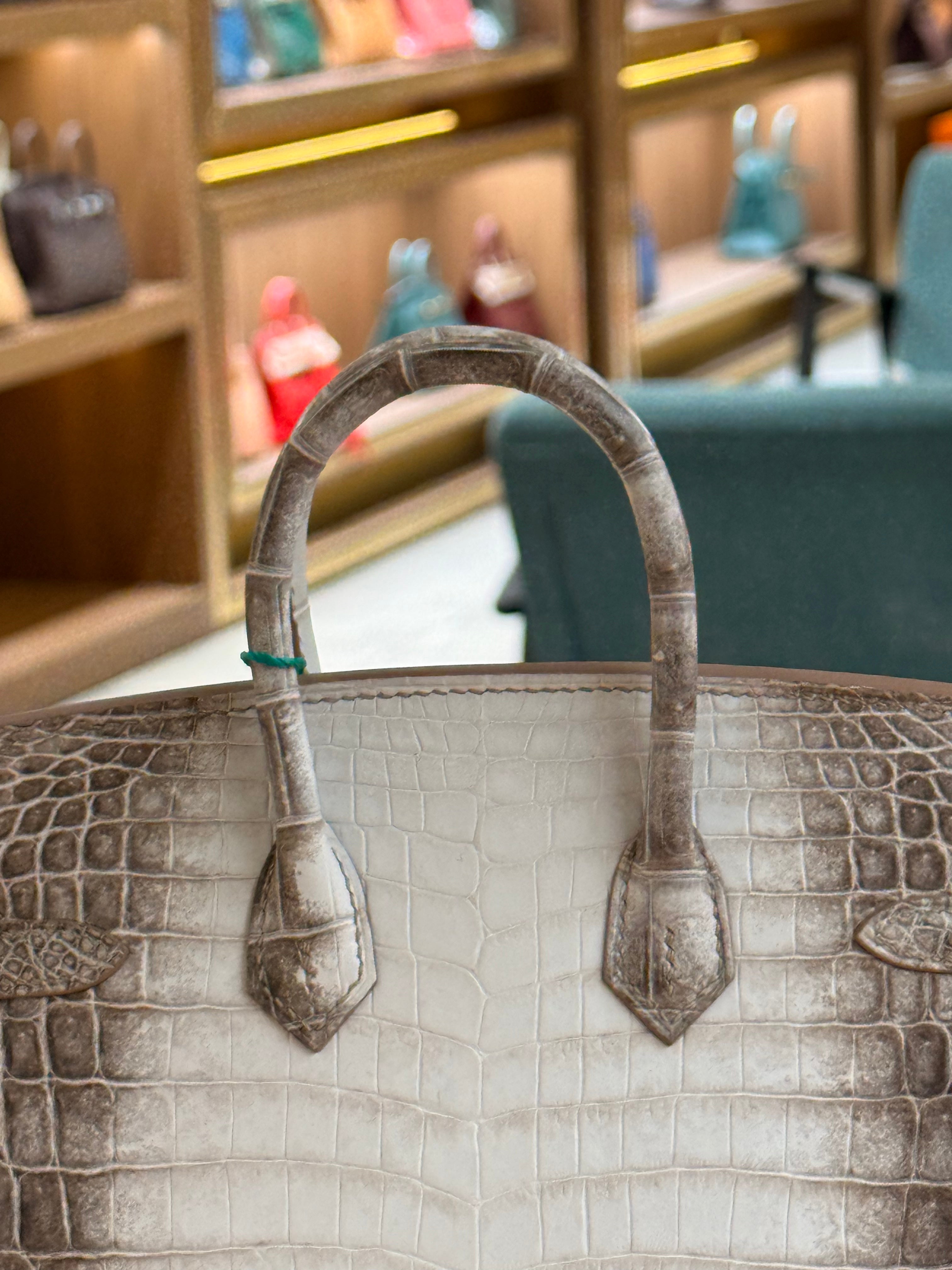 Hermes | Birkin (20) – Crocodile – Himalaya – Palladium Hardware