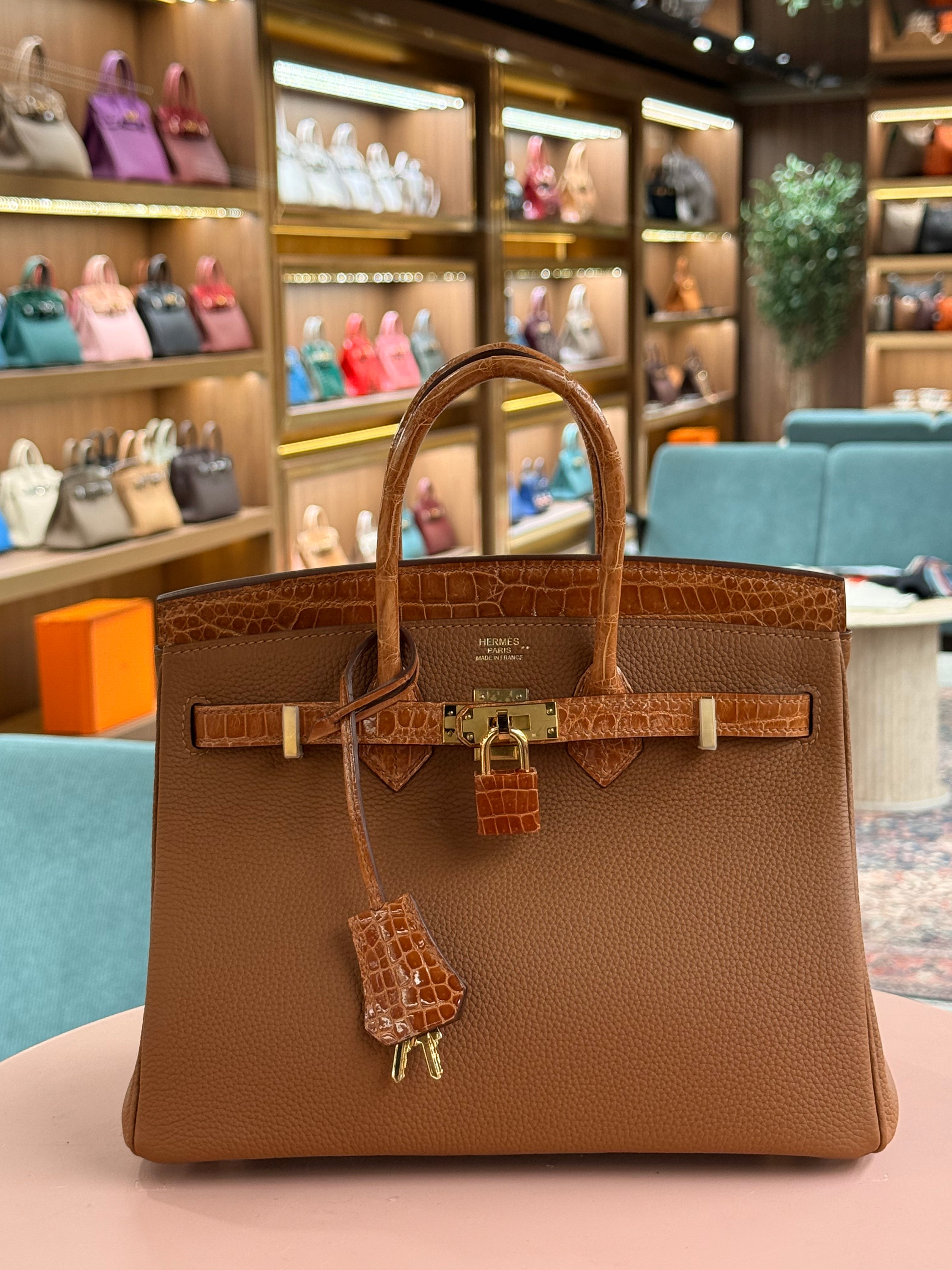 Hermes | Birkin Touch (25) – Togo – Gold – Gold Hardware