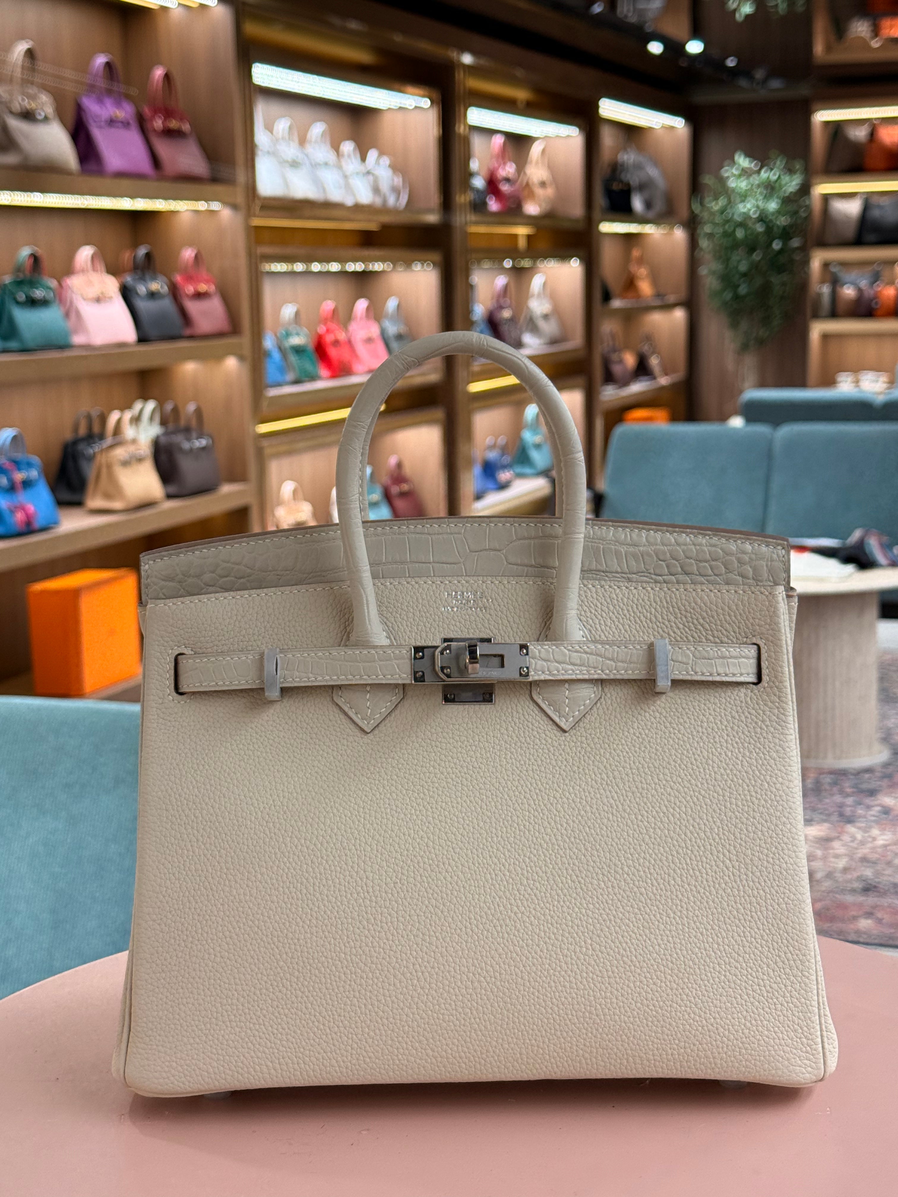 Hermes | Birkin Touch (25) – Togo – Creme – Palladium Hardware