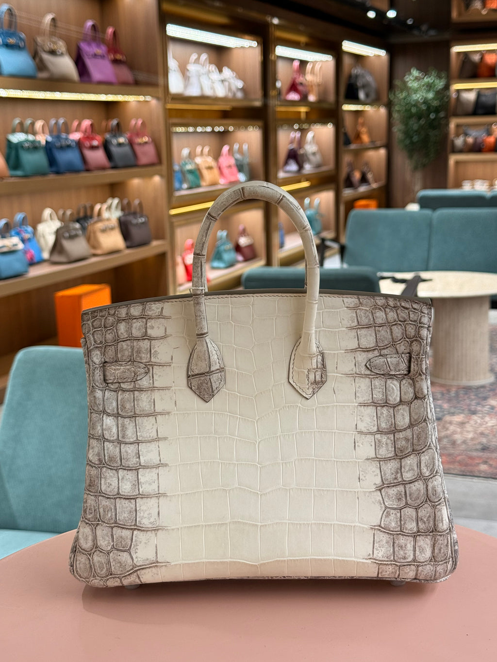 Hermes | Birkin (25) – Crocodile – Himalaya – Palladium Hardware