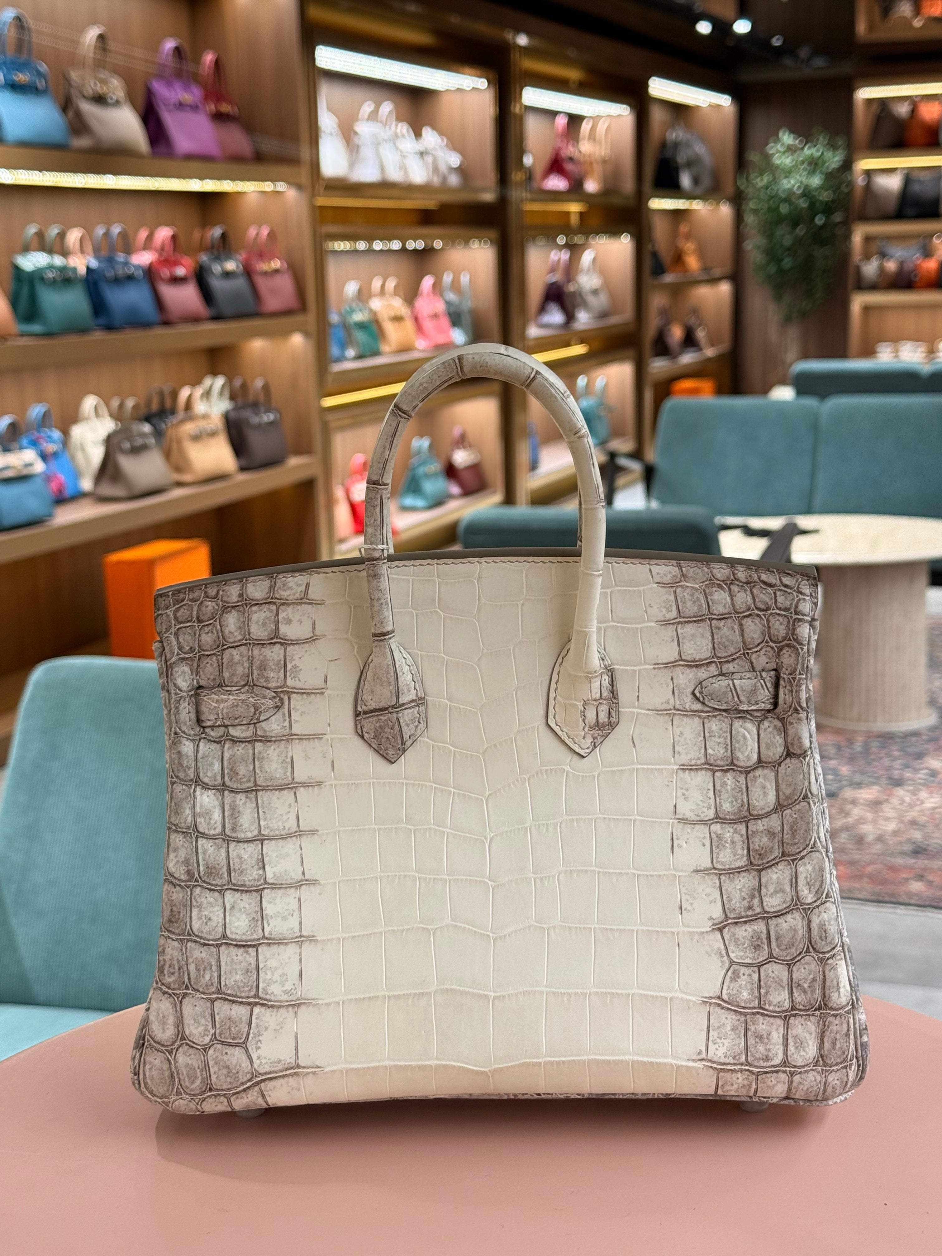 Hermes | Birkin (25) – Crocodile – Himalaya – Palladium Hardware