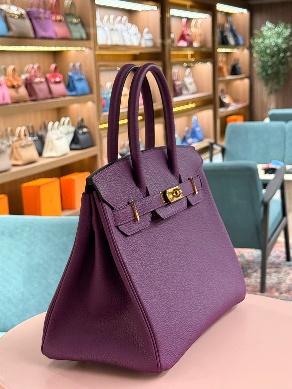 Hermes | Birkin (30) – Togo – Violet – Gold Hardware