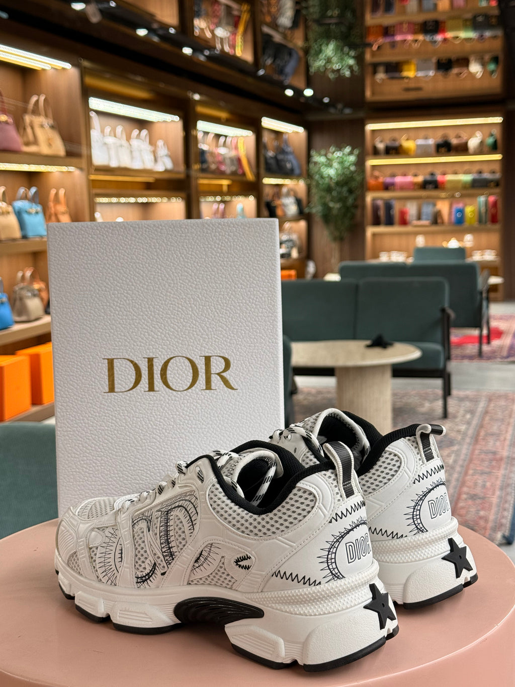 Dior | Chrono-Sneaker – Mesh – White – Black Hardware