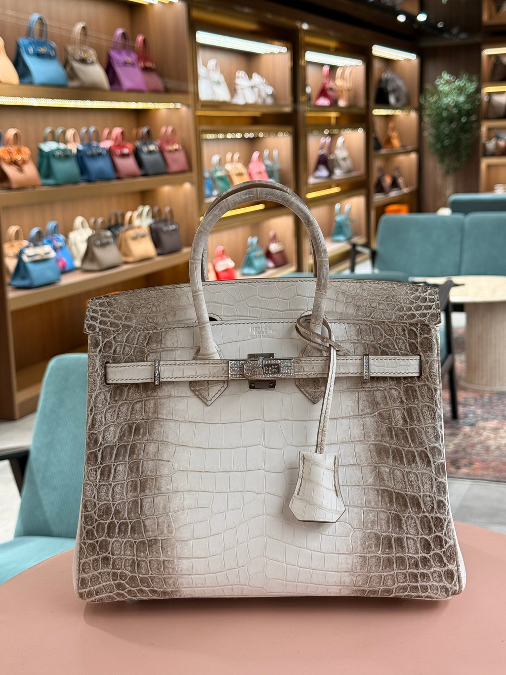 Hermes | Birkin (25) – Crocodile – Himalaya – Palladium Hardware