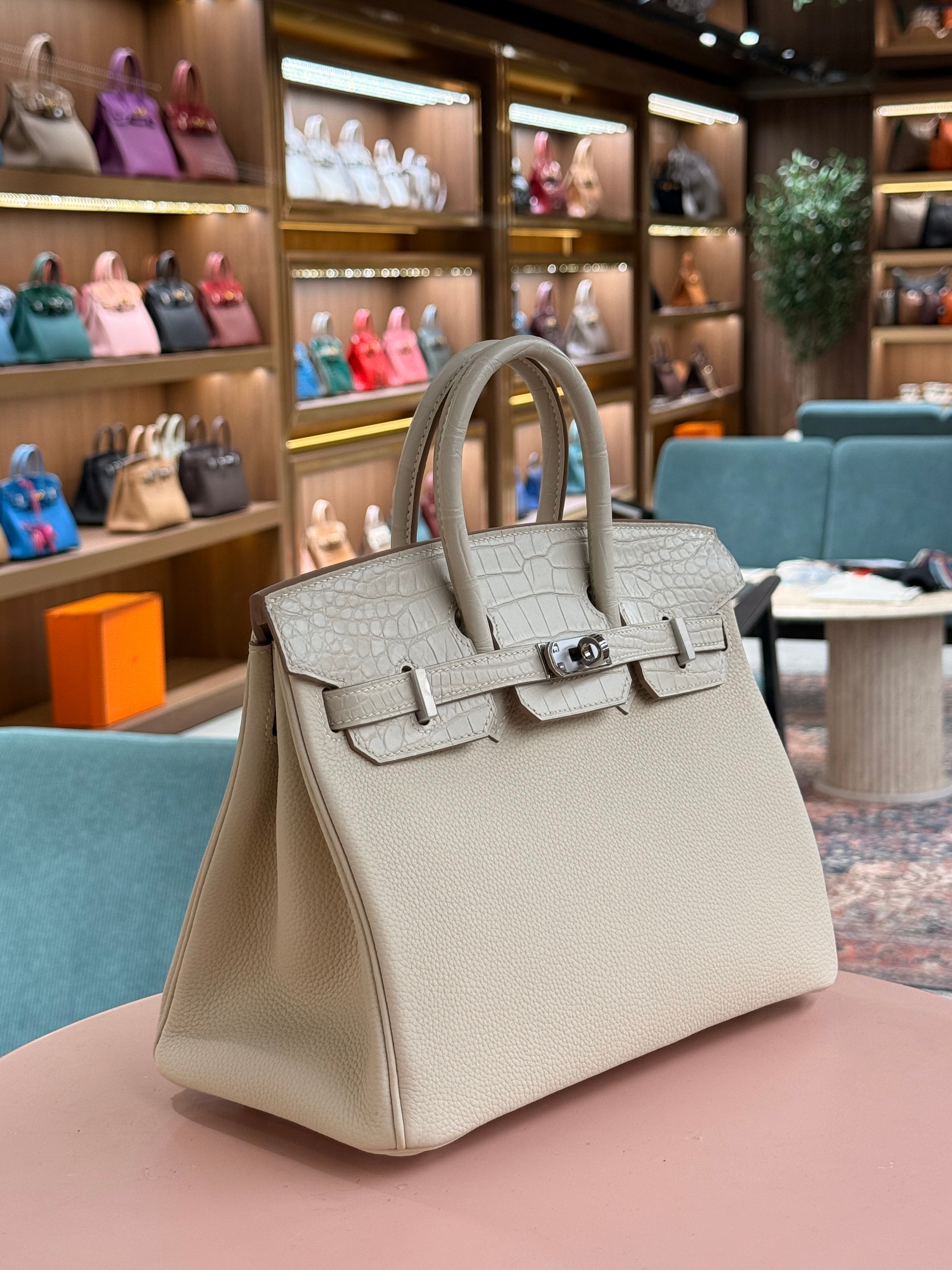 Hermes | Birkin Touch (25) – Togo – Creme – Palladium Hardware