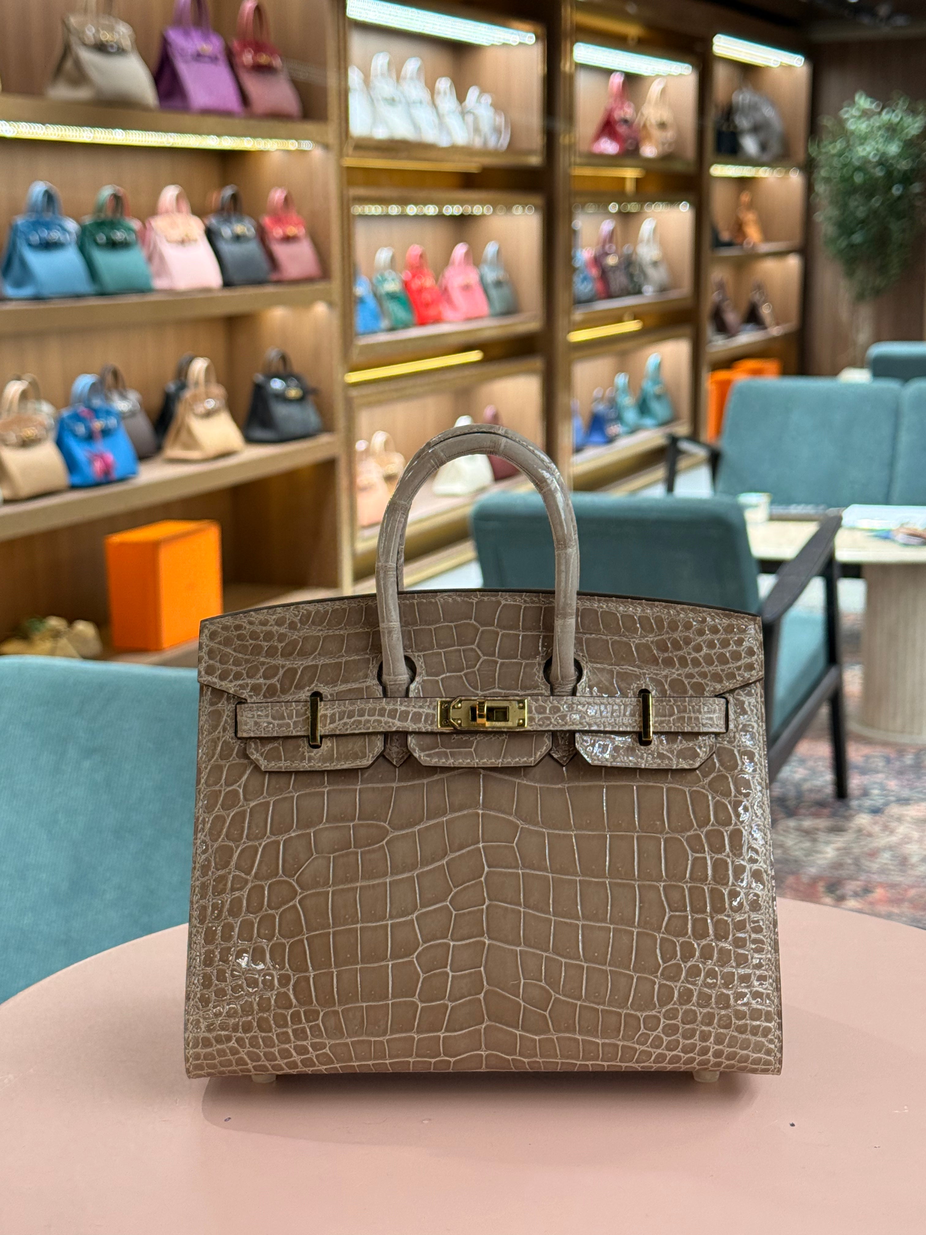 Hermes | Birkin (20) – Crocodile – Beige – Gold Hardware
