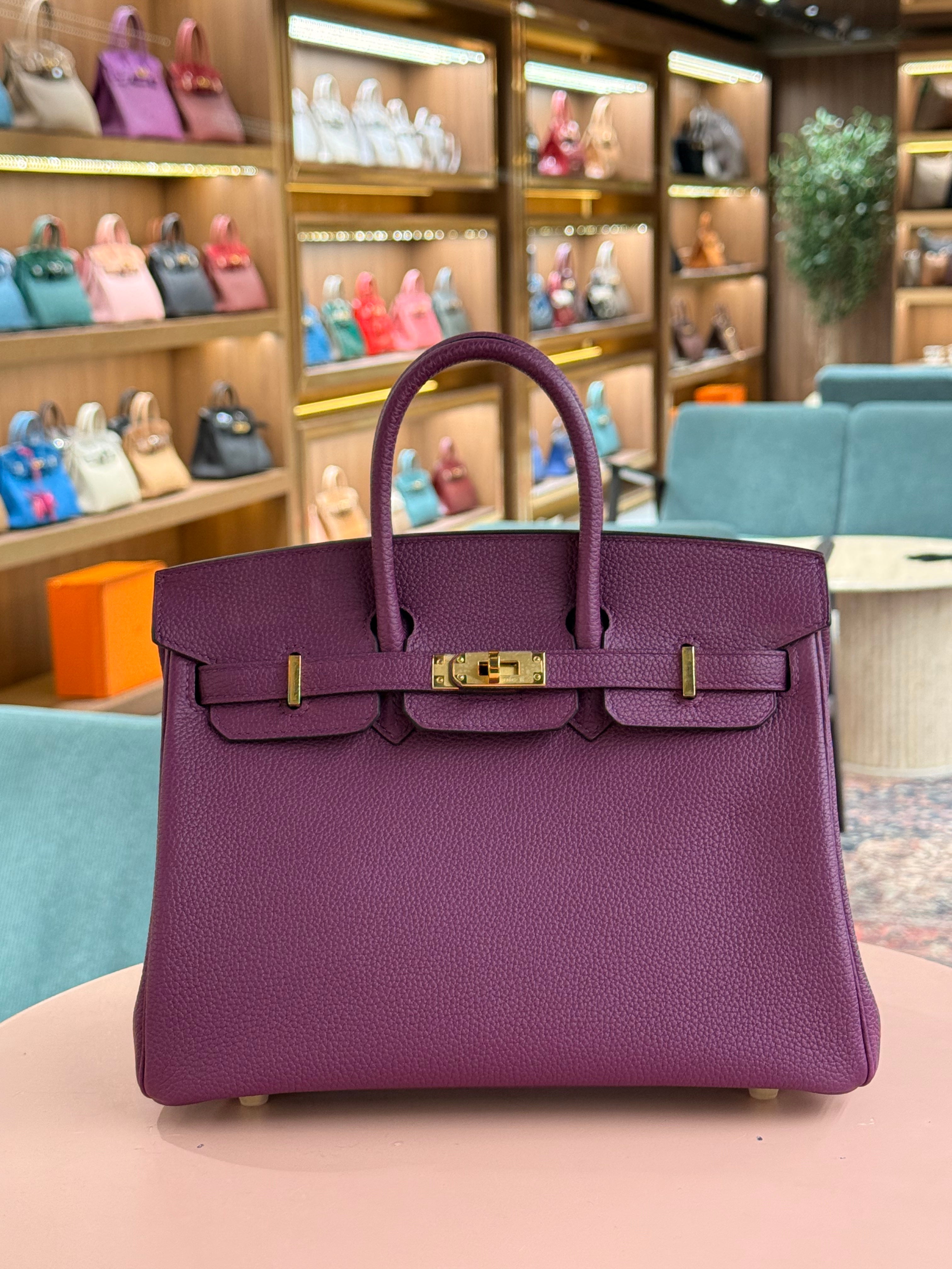 Hermes | Birkin (25) – Togo – Violet – Gold Hardware