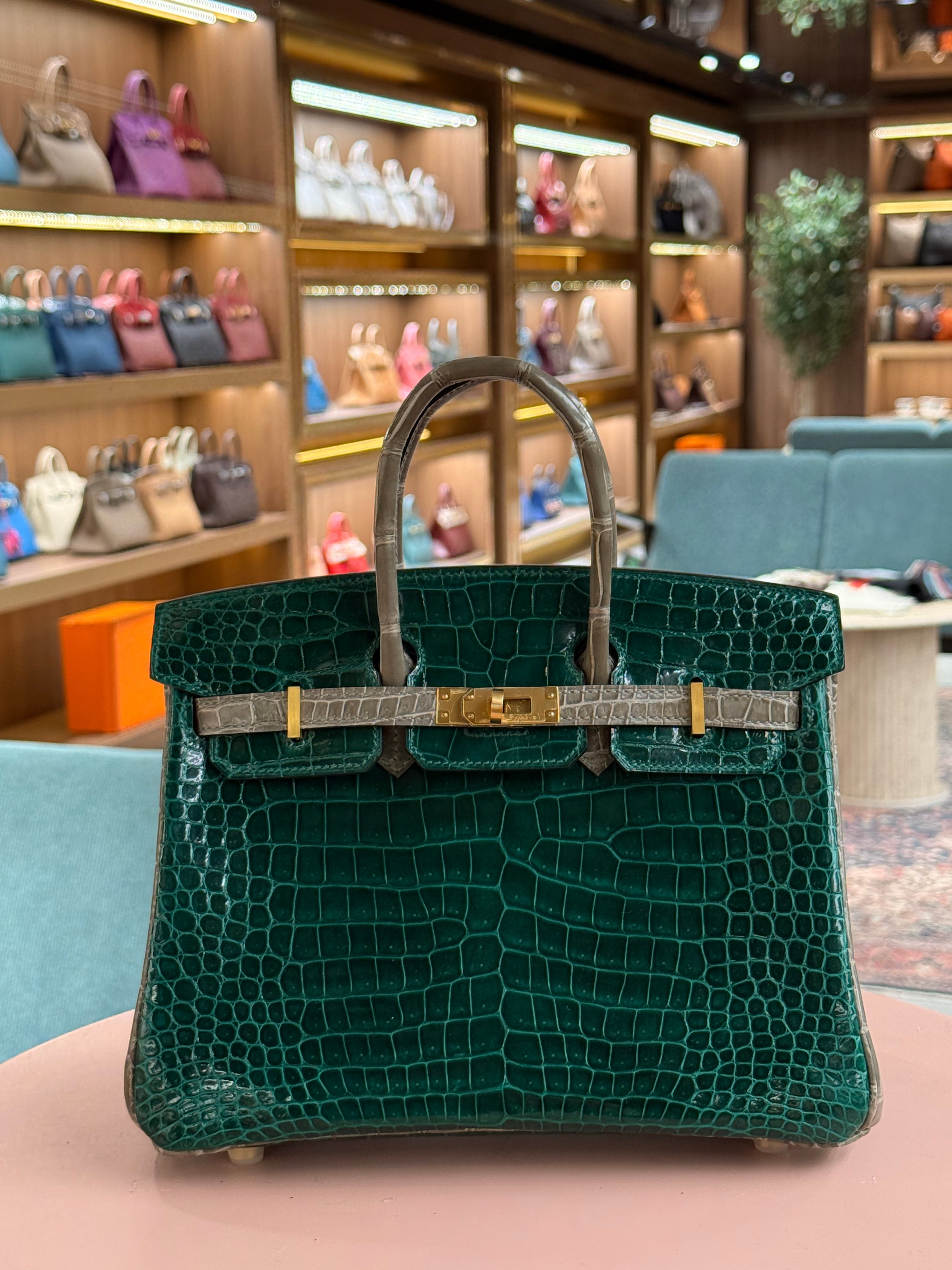 Hermes | Birkin (25) – Crocodile – Green – Gold Hardware